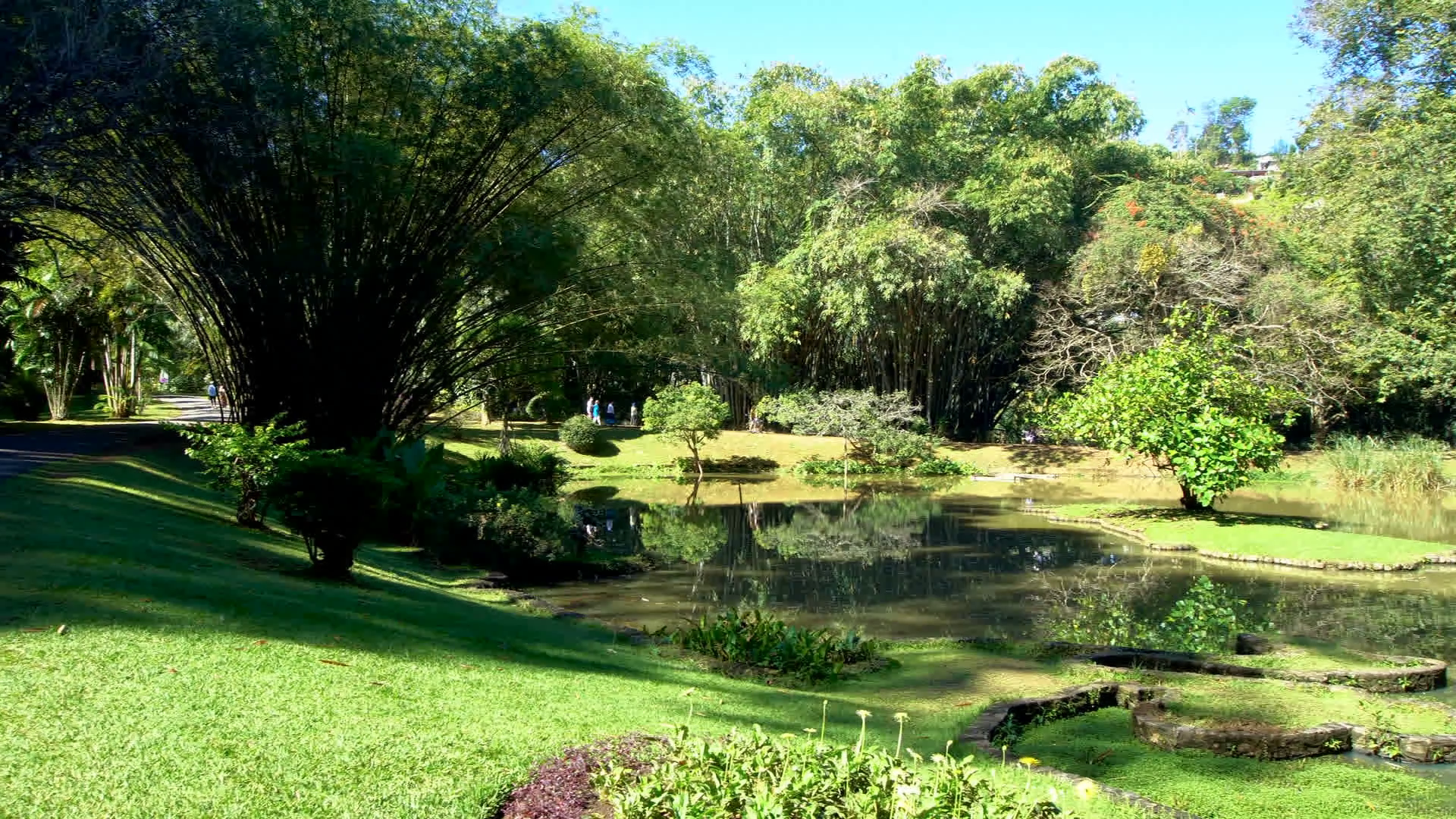 Panorama of Peradeniya Garden at Kandy, Sri Lanka Stock Video ...