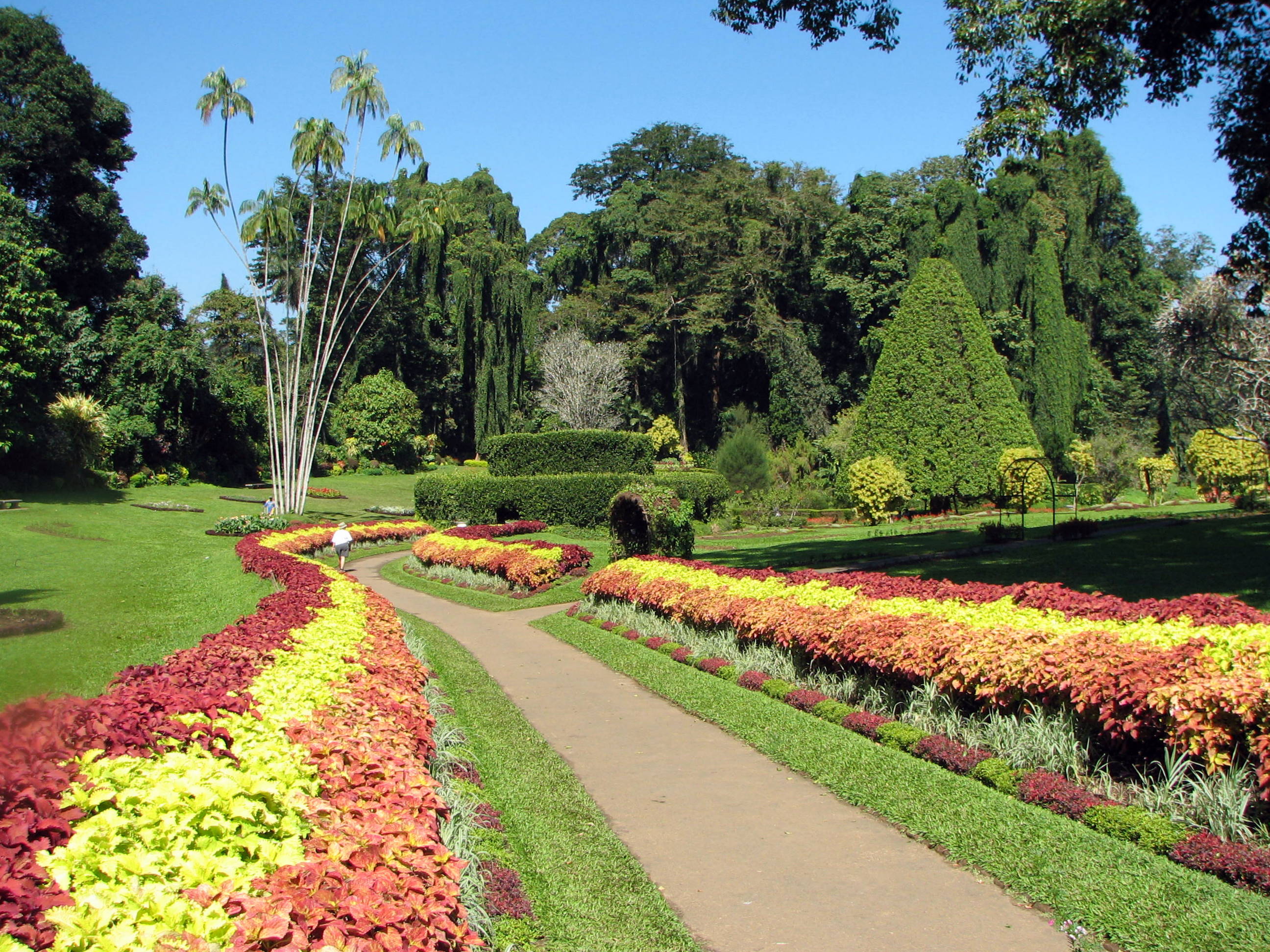 File:Botanical Garden of Peradeniya 03.jpg - Wikimedia Commons