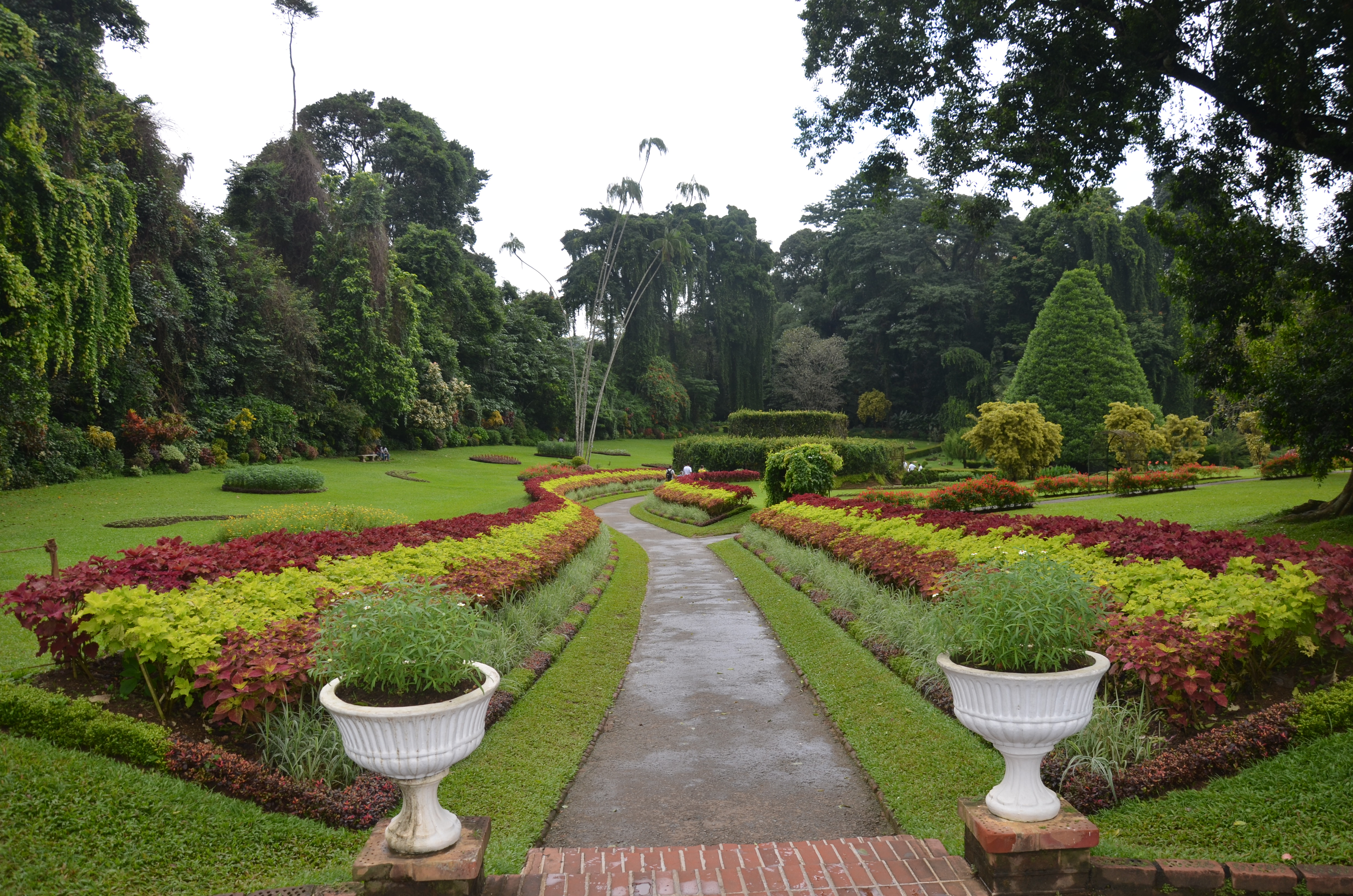 Peradeniya Botanical Gardens, Kandy, Sri Lanka | Why Waste Annual Leave?