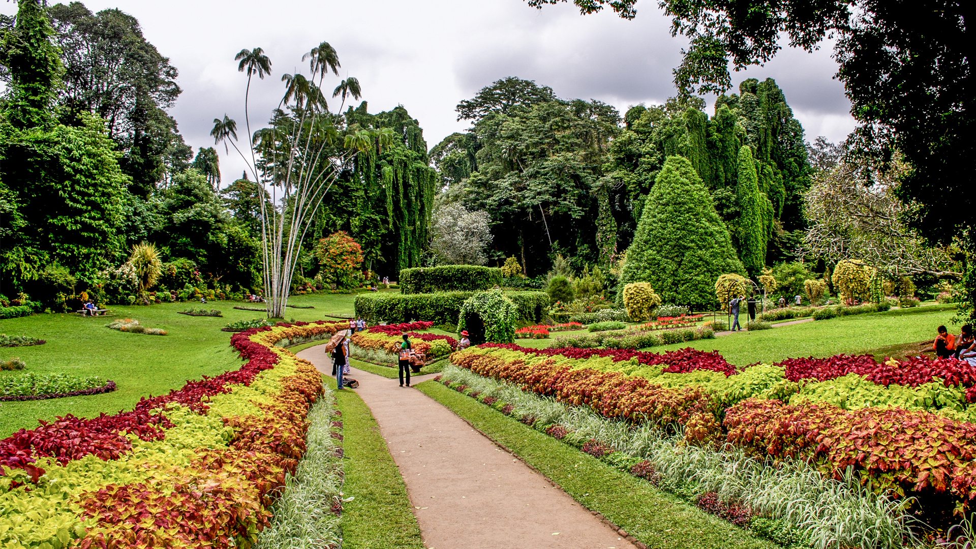 Peradeniya Botanical Gardens | Kandy | andBeyond