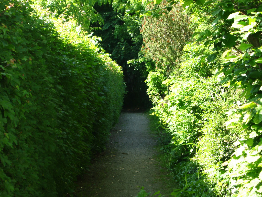 Garden path photo
