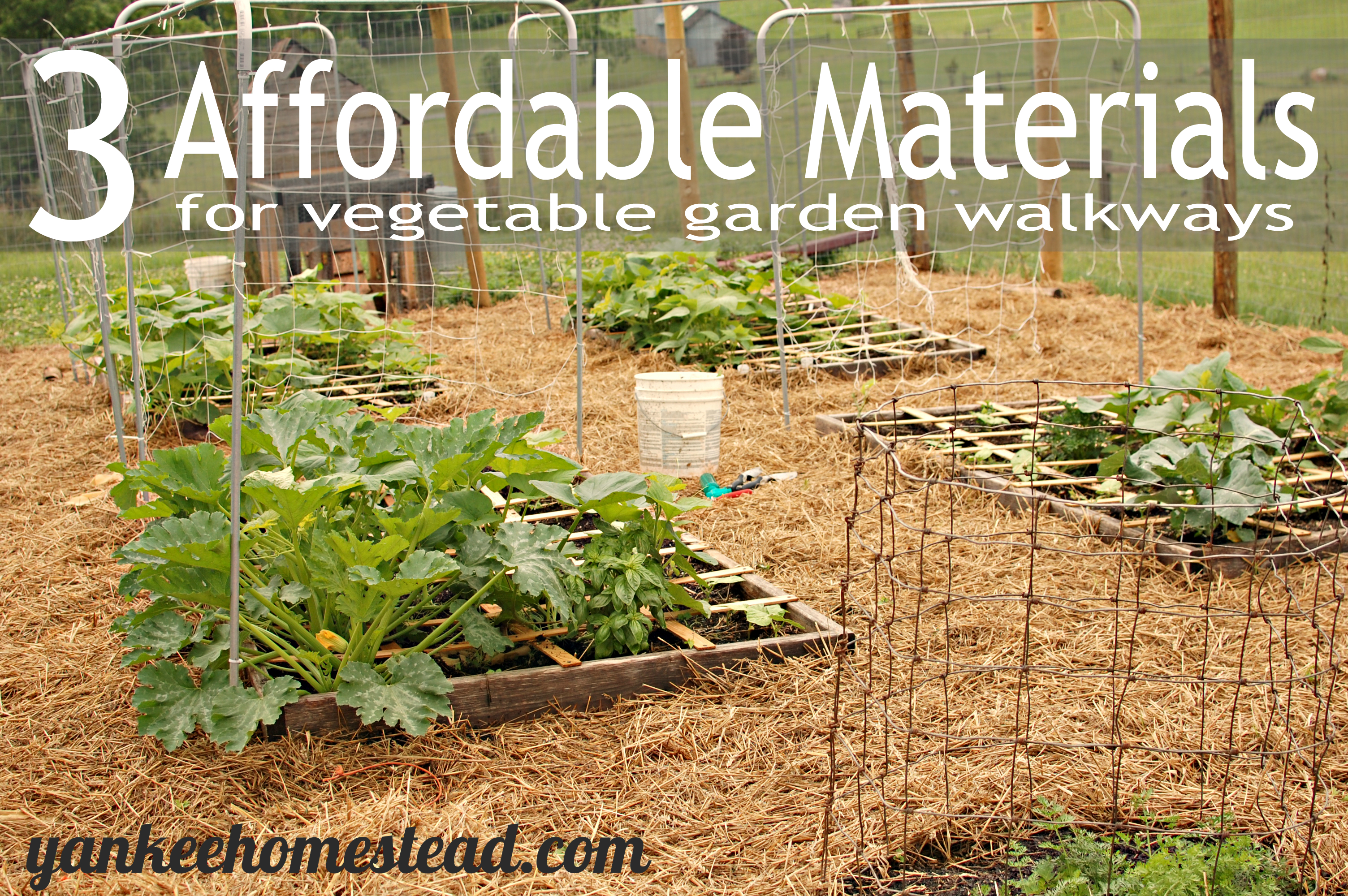 3 Affordable Materials for Vegetable Garden Walkways - Yankee Homestead