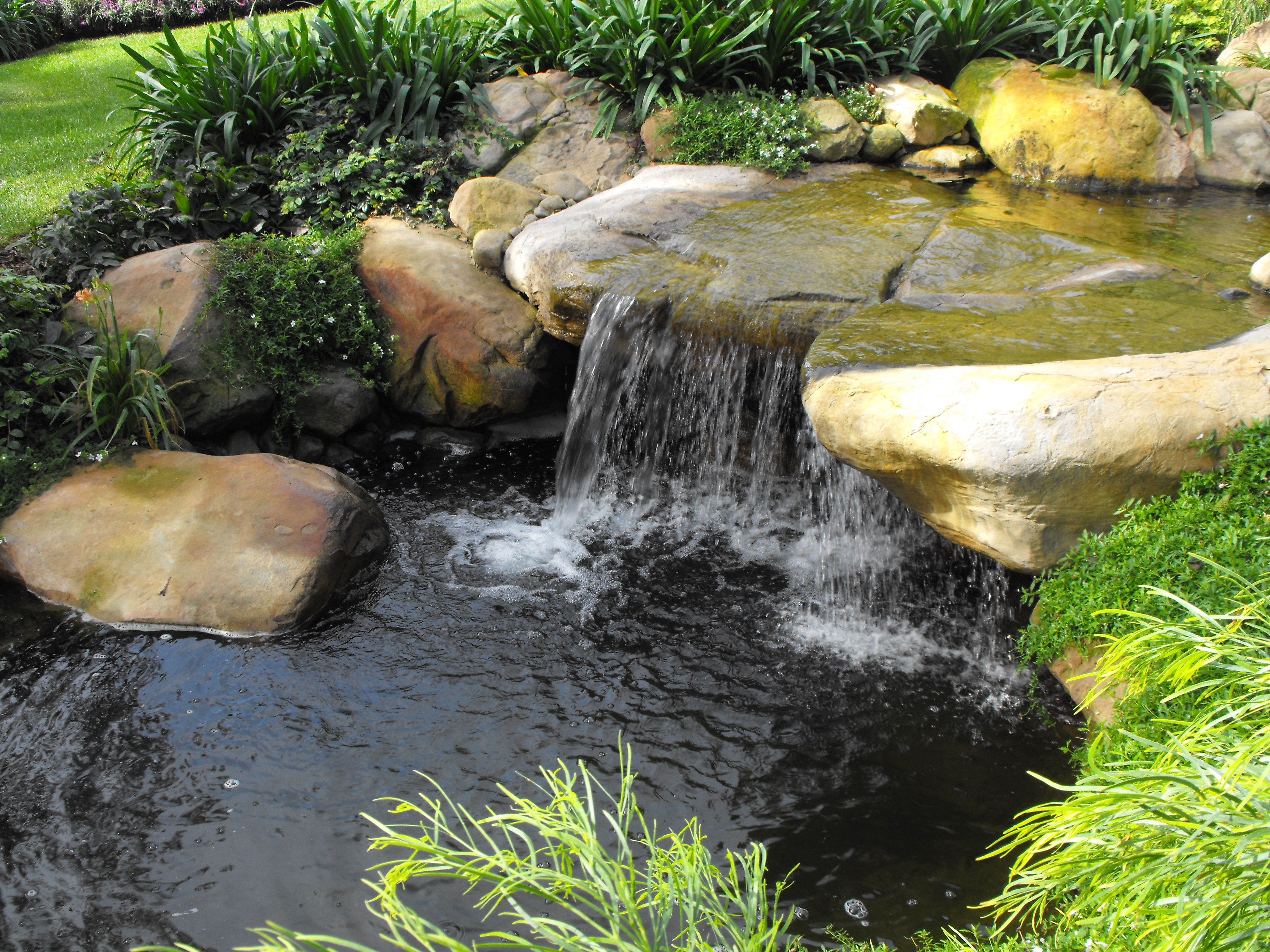 Garden waterfalls photo