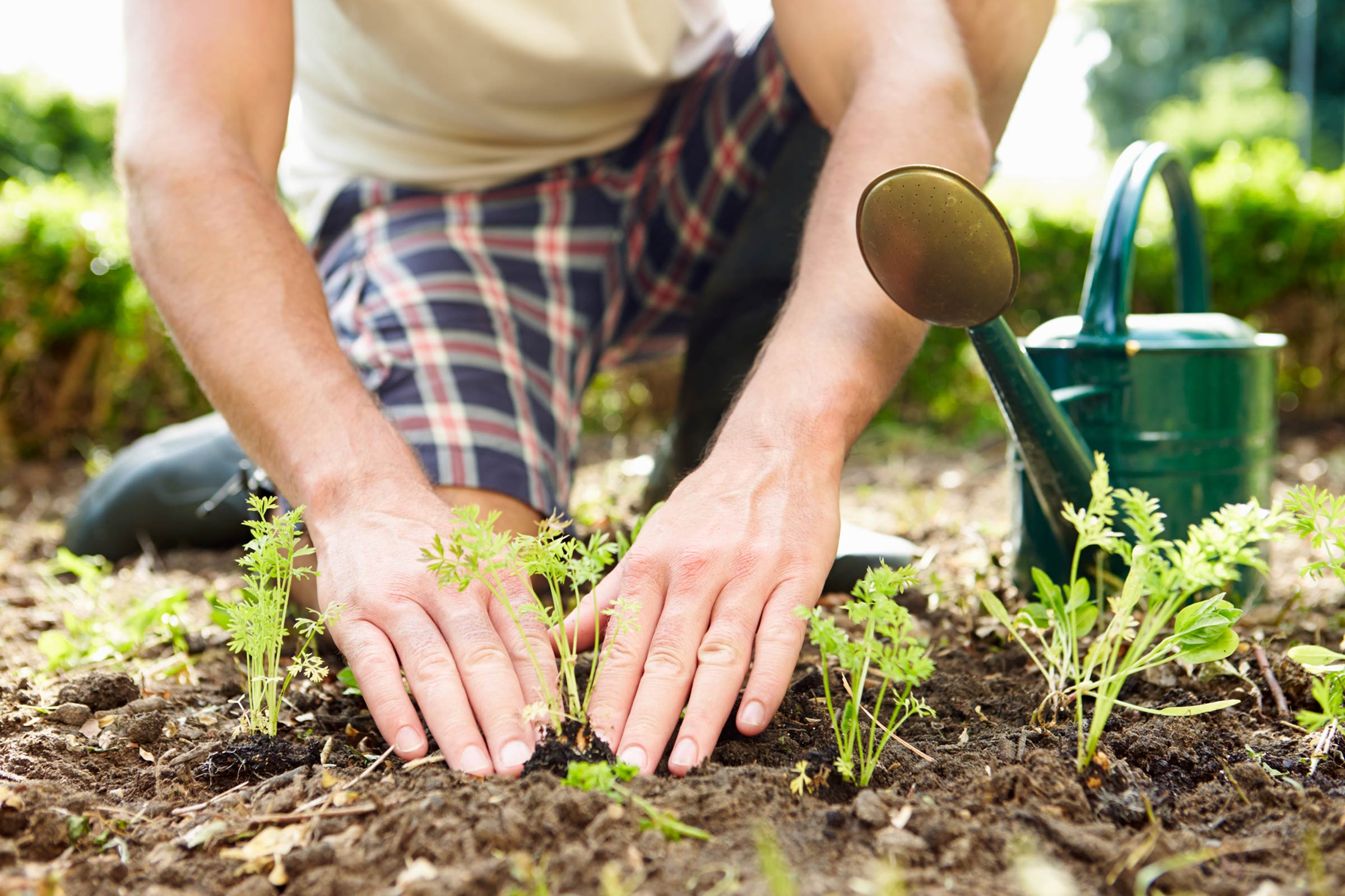 The Surprising Health Benefits of Gardening | Reader's Digest