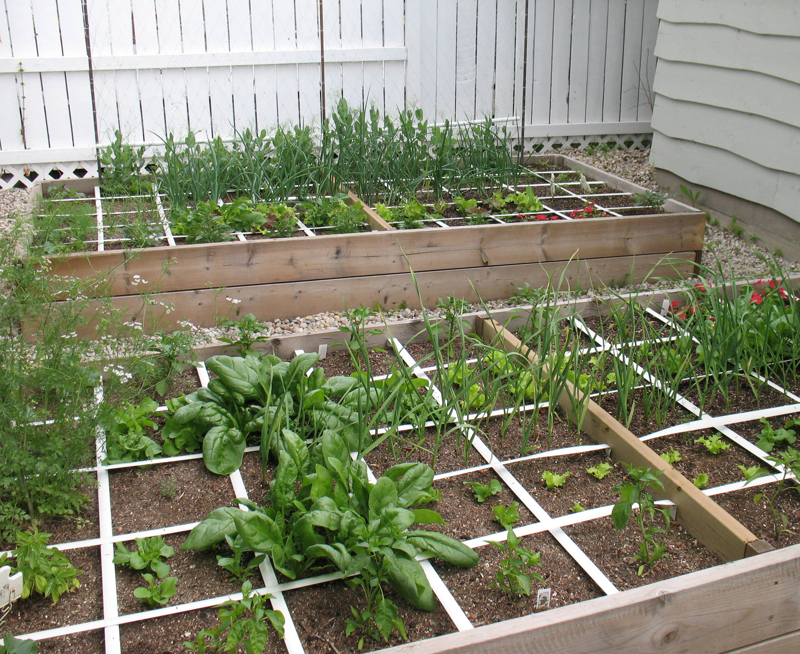 Square Foot Gardening is Anything but Square – Gardeninggrrl