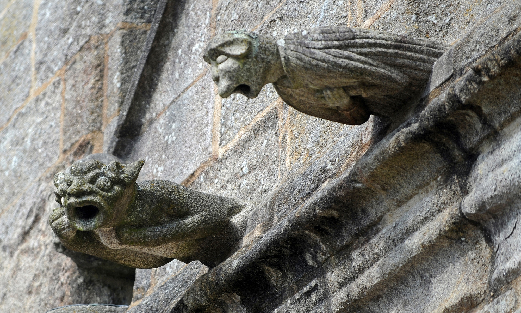 10 Fearsome Facts about Gargoyles | Mental Floss