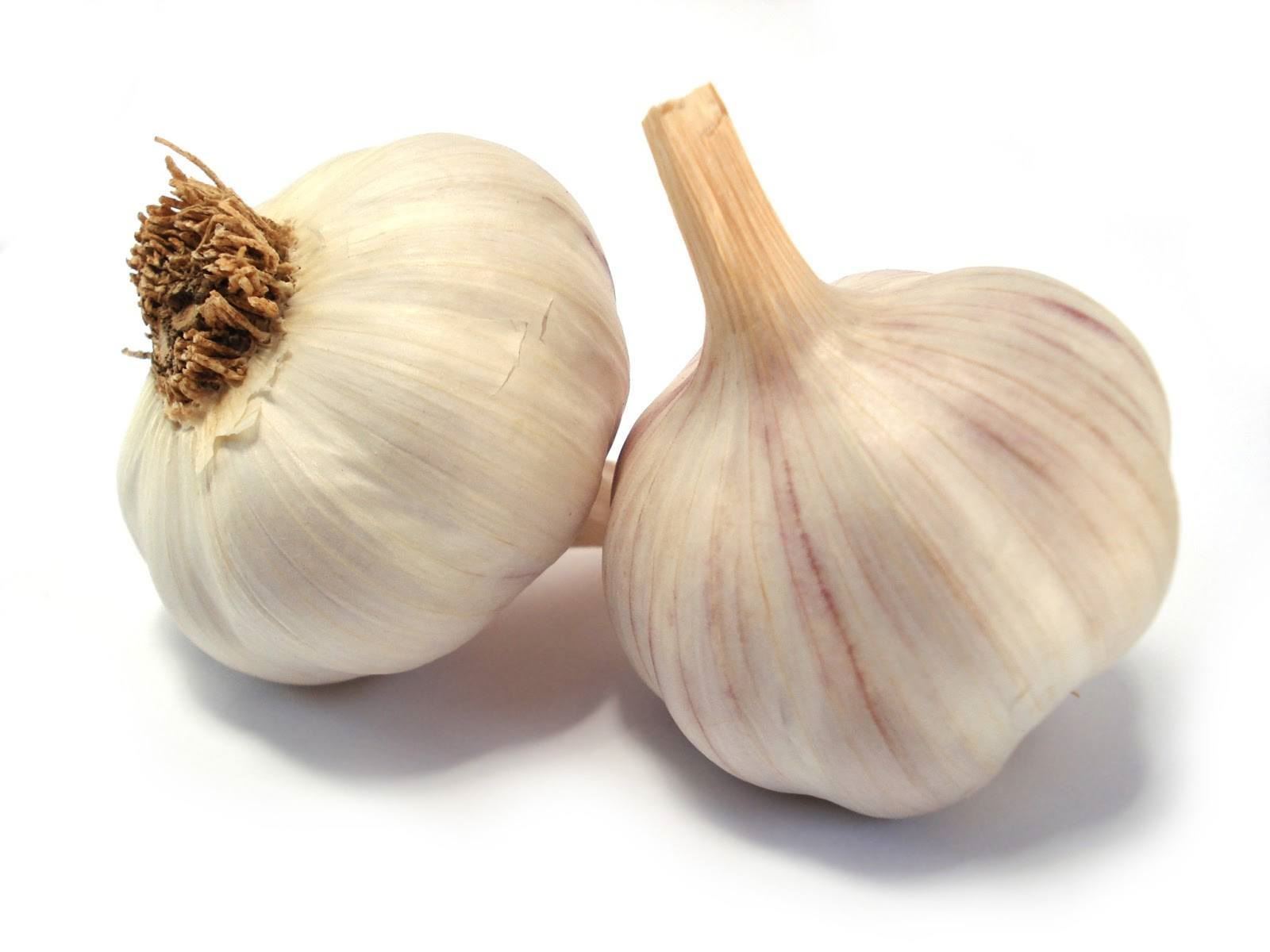 VegColors. Online Vegetables and Fruits Delivery |Garlic ...