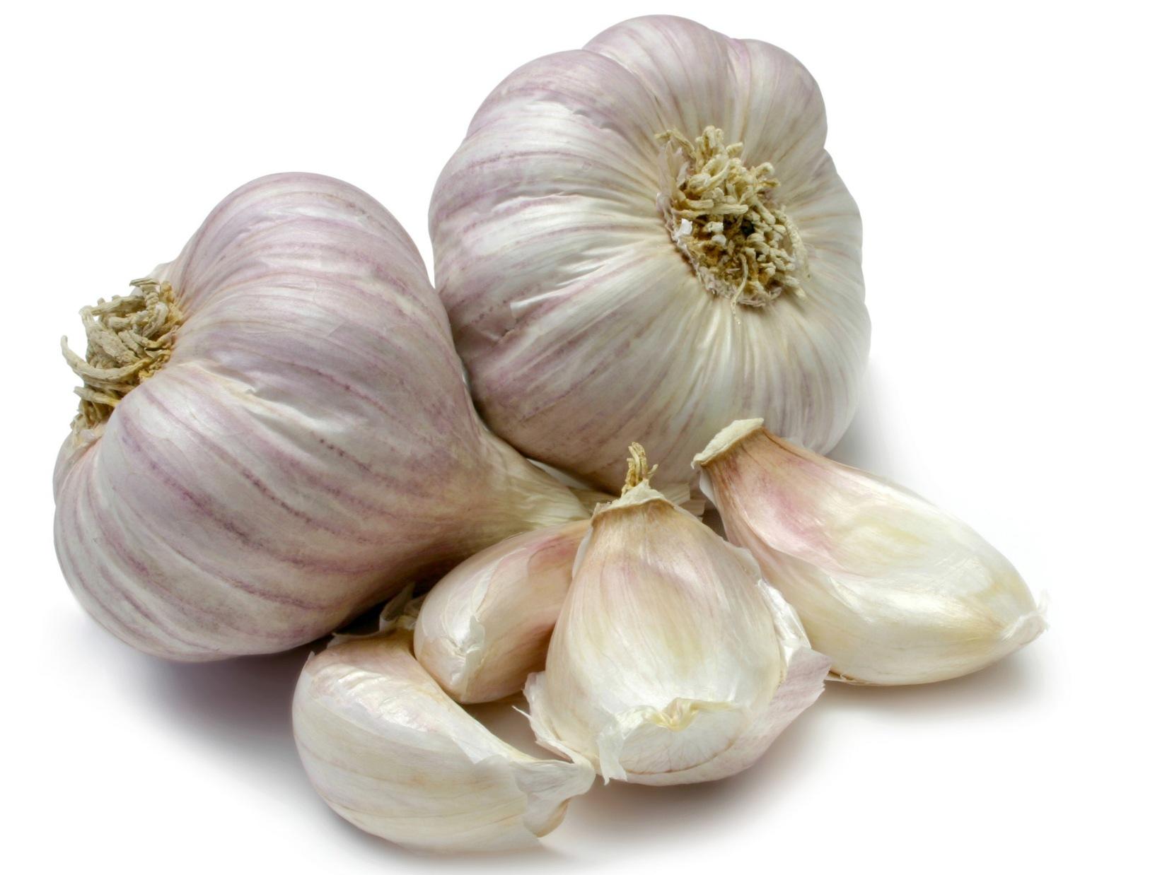 You already know Garlic. Now, meet Allicin. – Achieve True Health