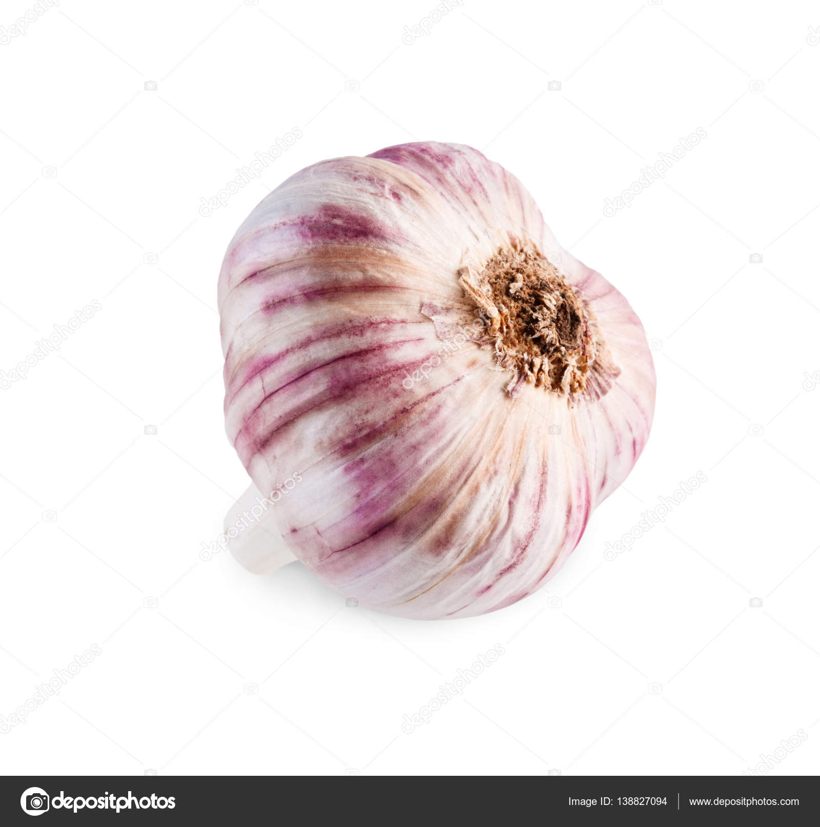 Head of garlic closeup isolated on white background — Stock Photo ...