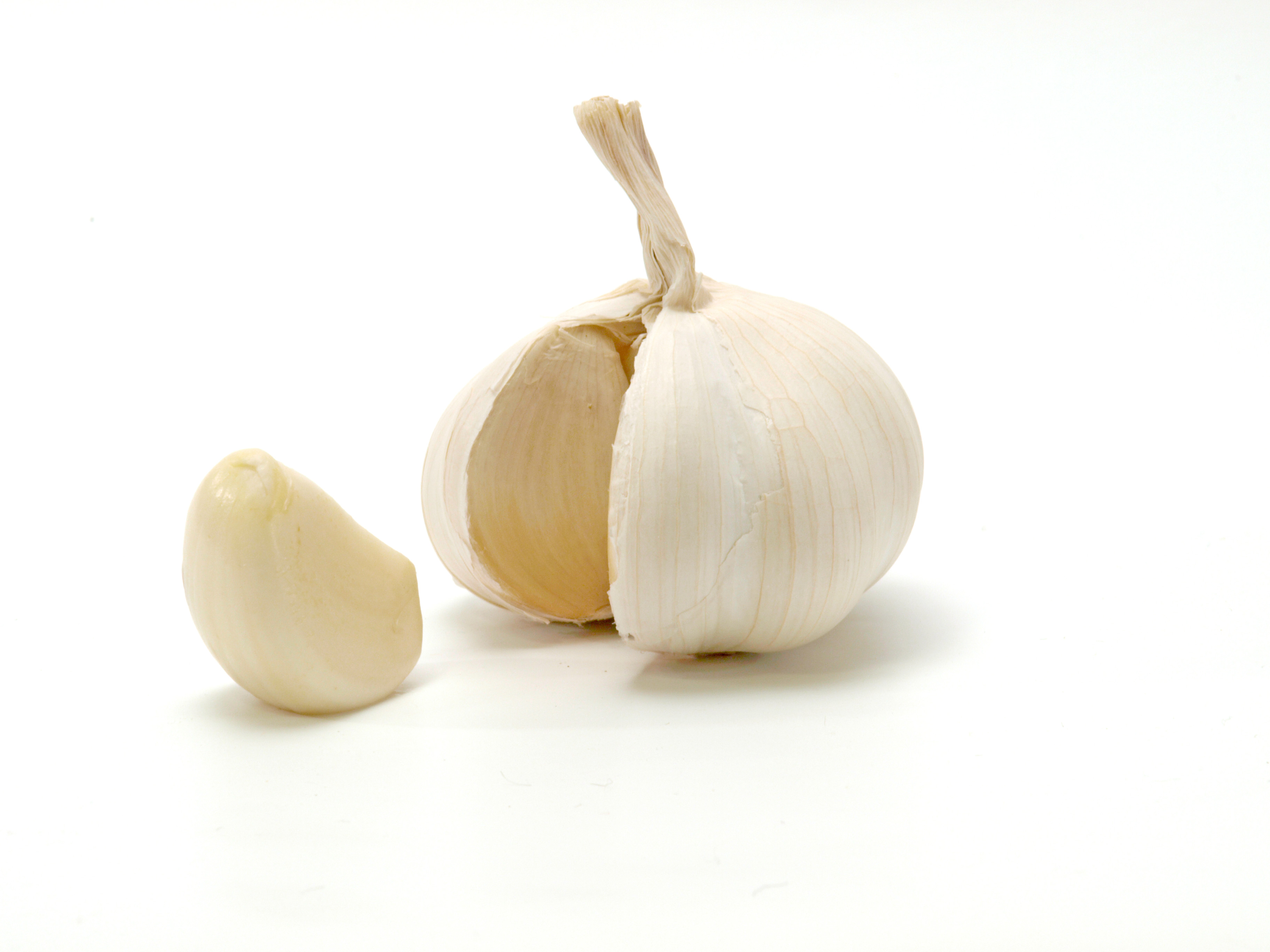 File:Opened garlic bulb with garlic clove.jpg - Wikimedia Commons