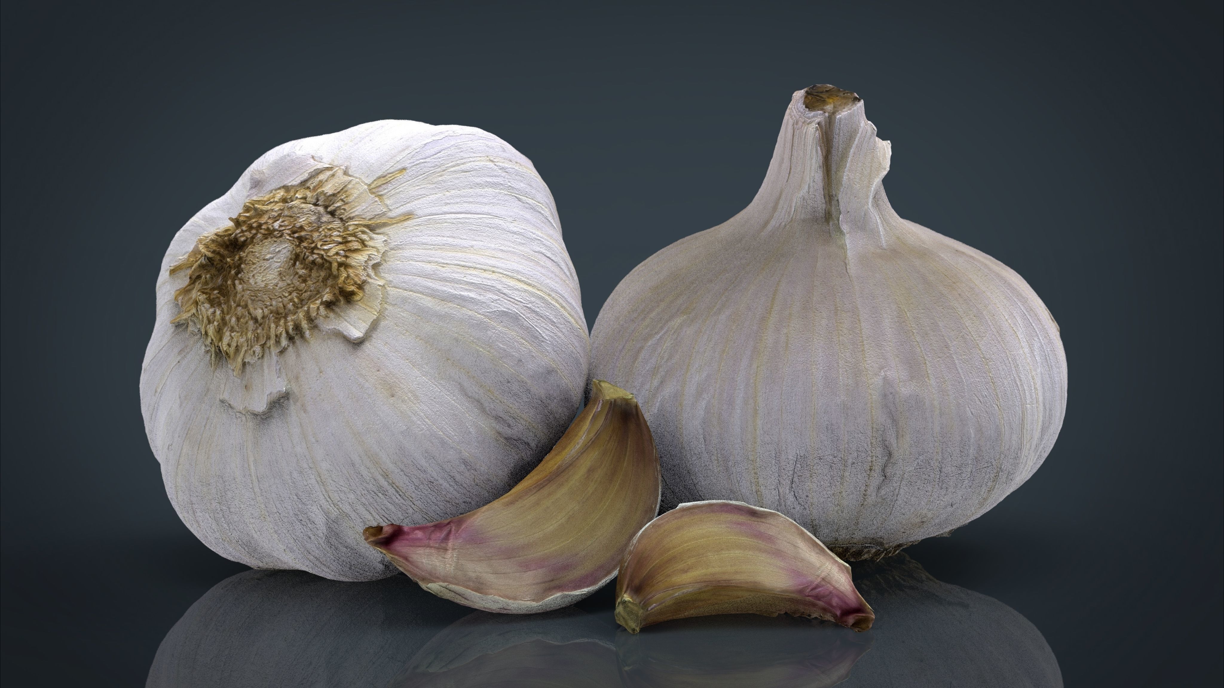 Garlic and garlic clove 3D | CGTrader