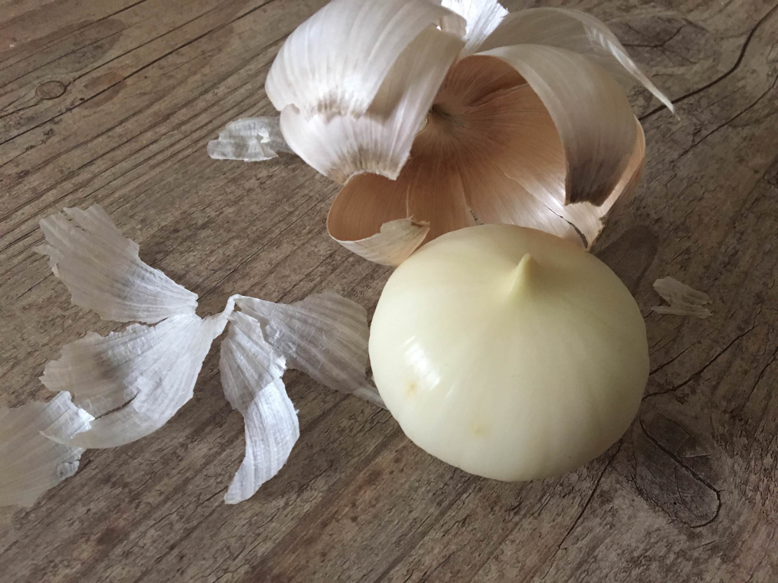 This garlic I bought doesn't have separate cloves, it's just one ...