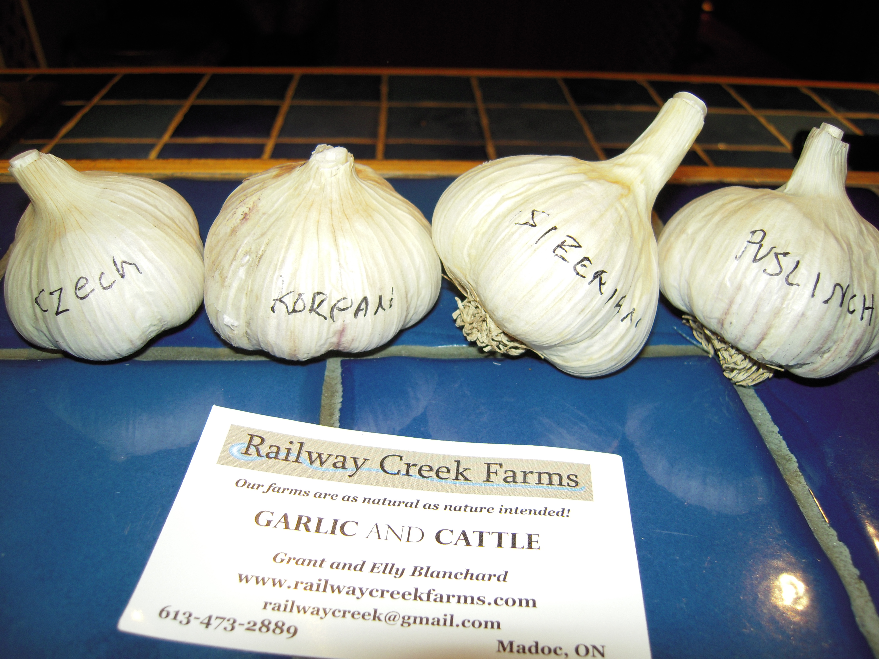 Garlic from Cooper, Ontario. Who would have thought? | Meanwhile, at ...