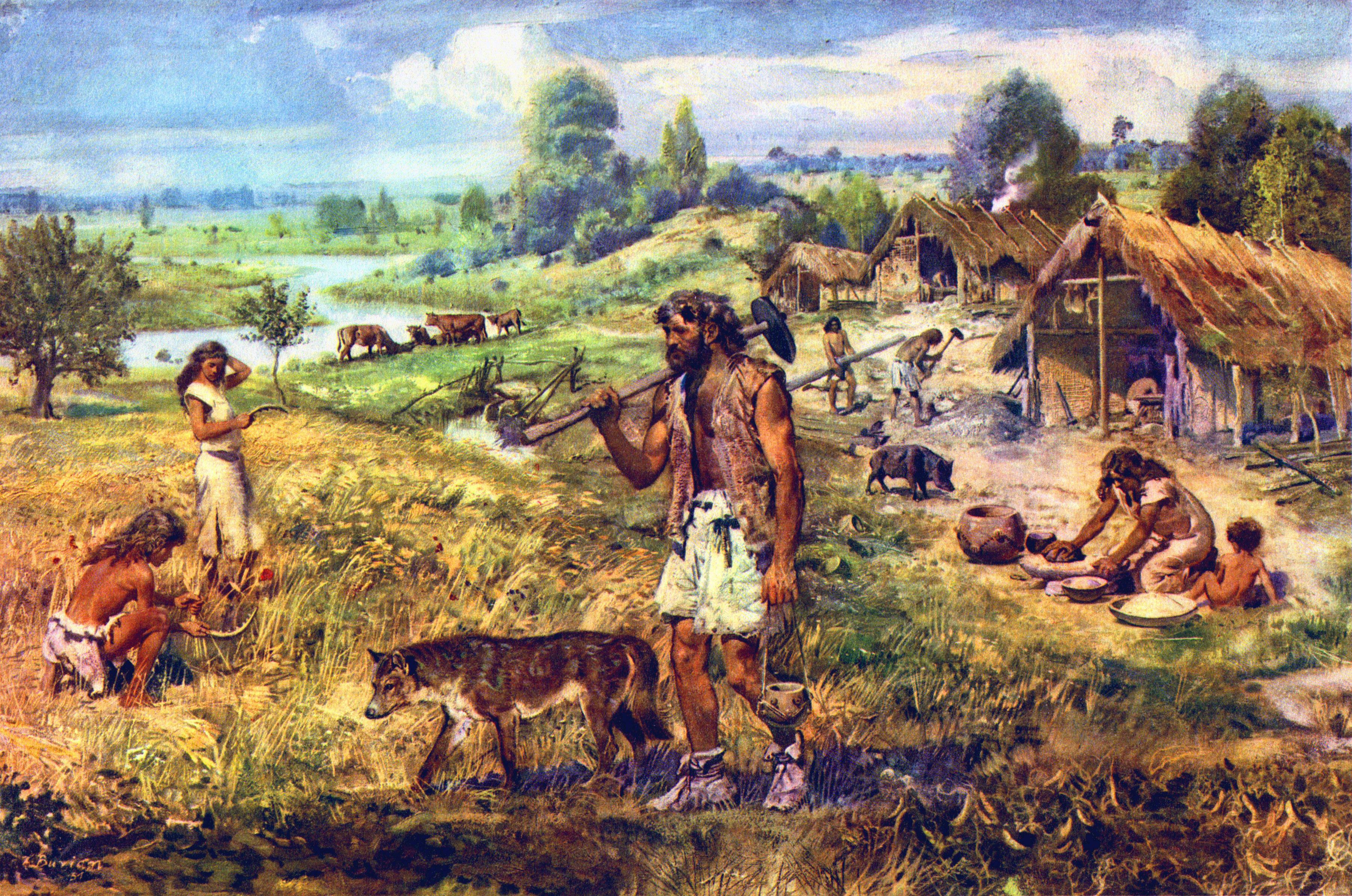 Hunter Gatherer Societies: eng, gatherer, hunter, prehistory, social ...