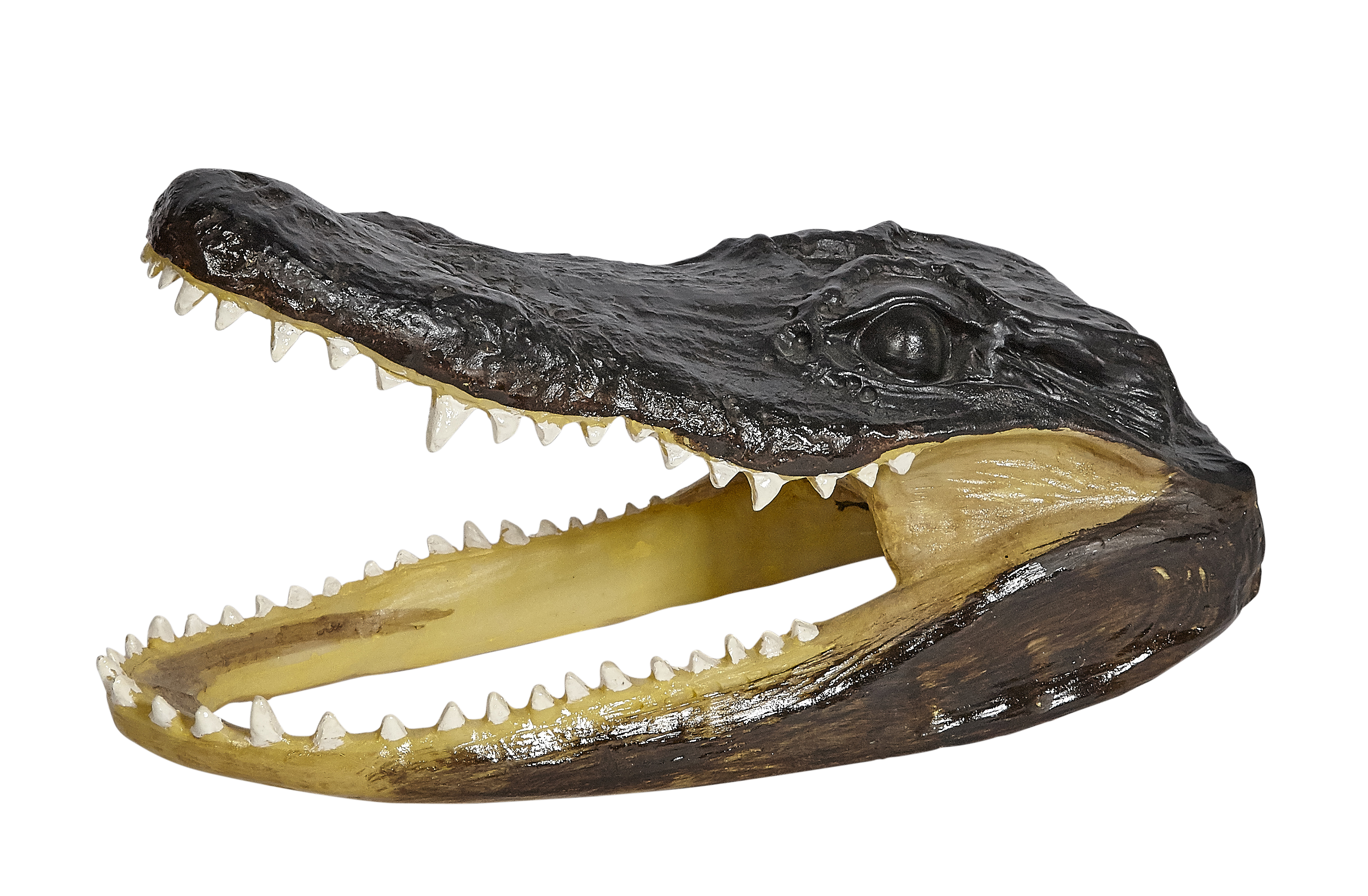 Polyresin Gator Head - Various Sizes