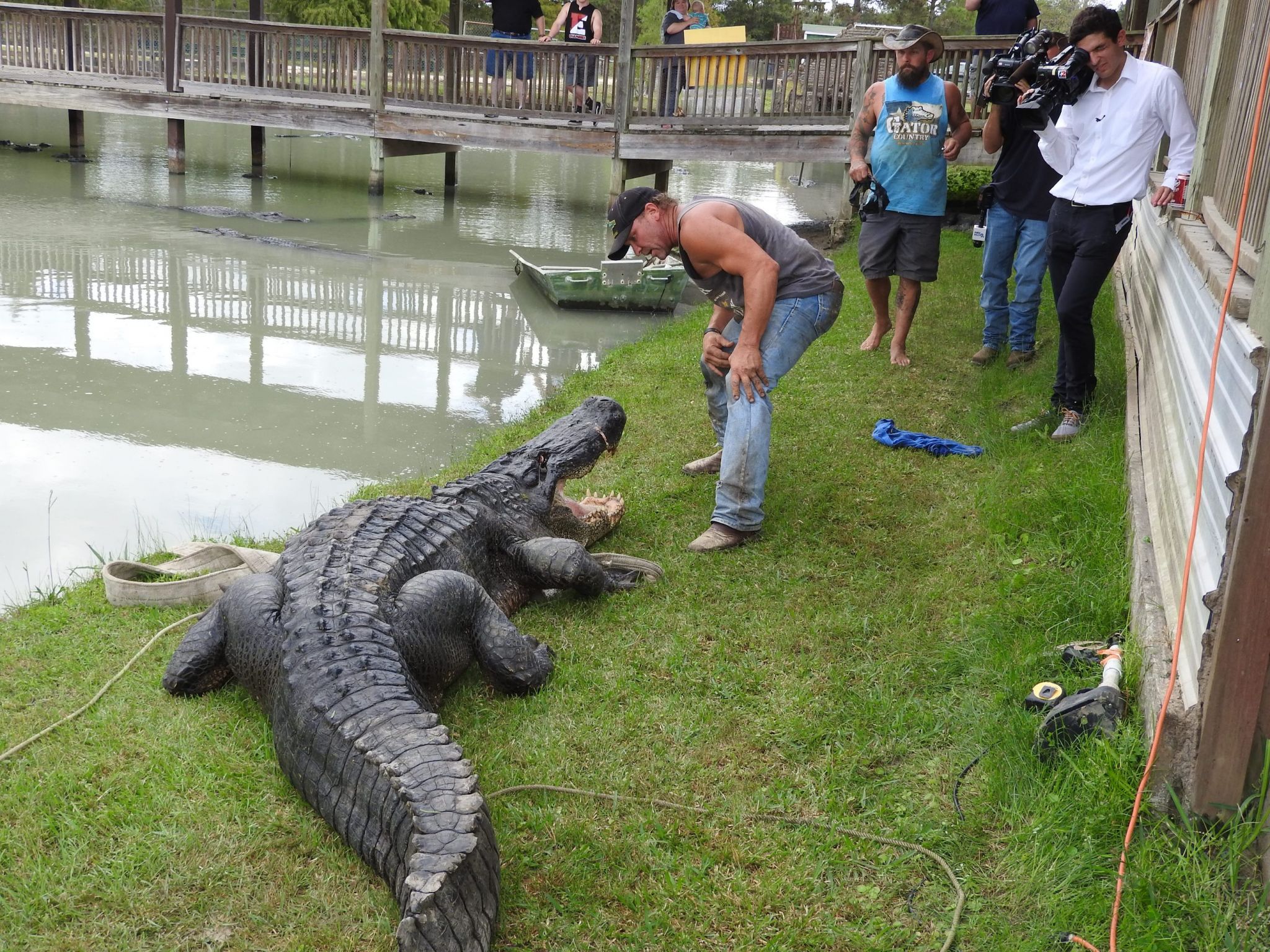 Gator Country adds record-breaking alligator to park - Beaumont ...