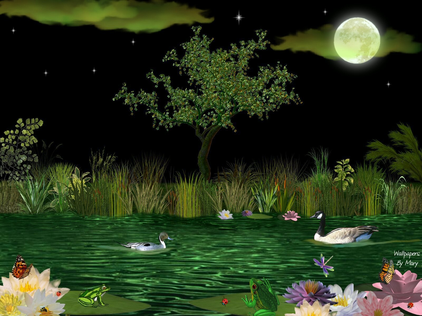 Frog: Geese Flowers Floating Water Flower Amphibians Birds Ponds ...