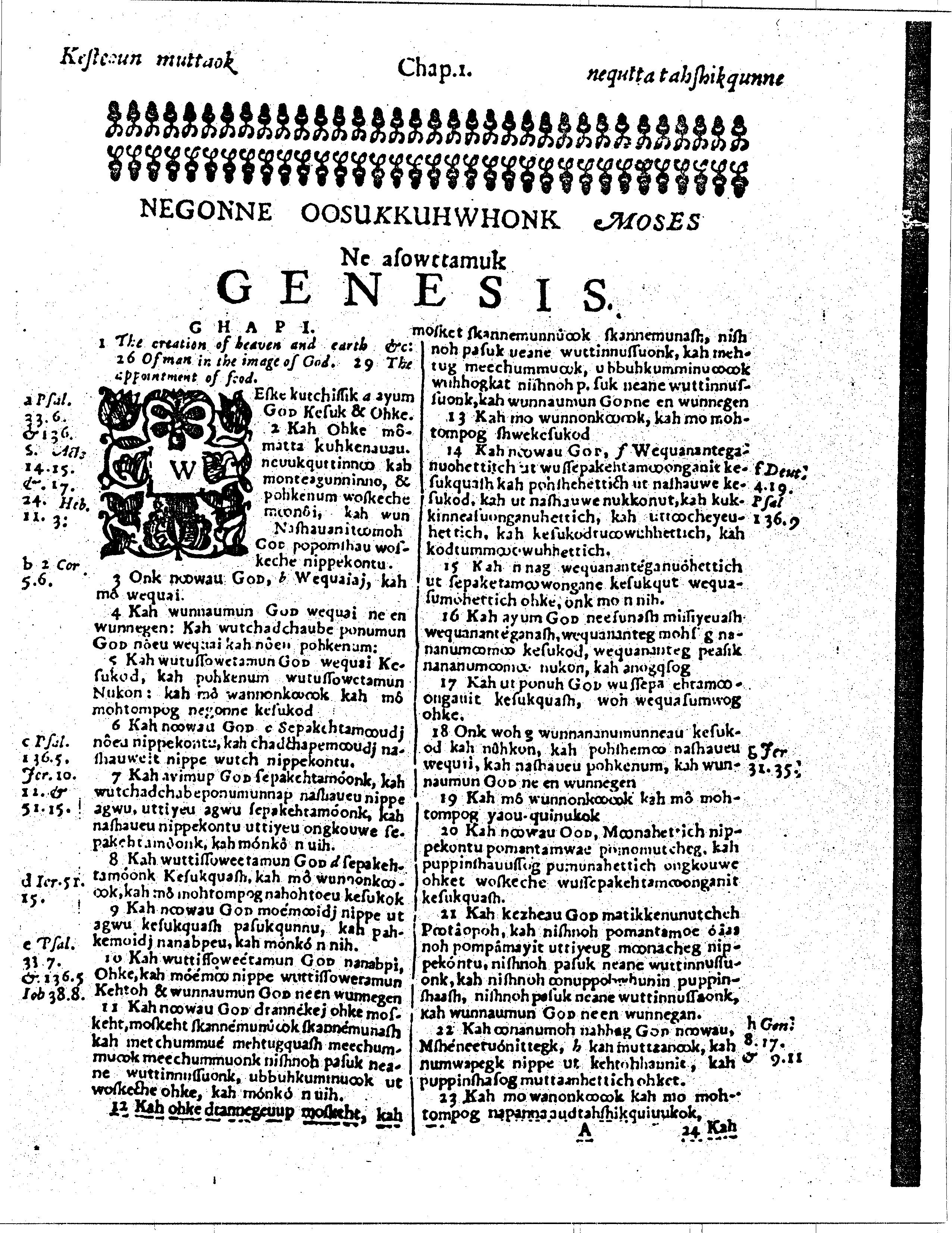 Genesis.gif