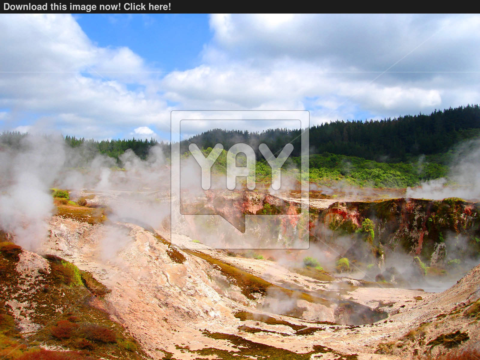 Geothermal Activity of Hell's Gate (between Rotorua and Taupo ...
