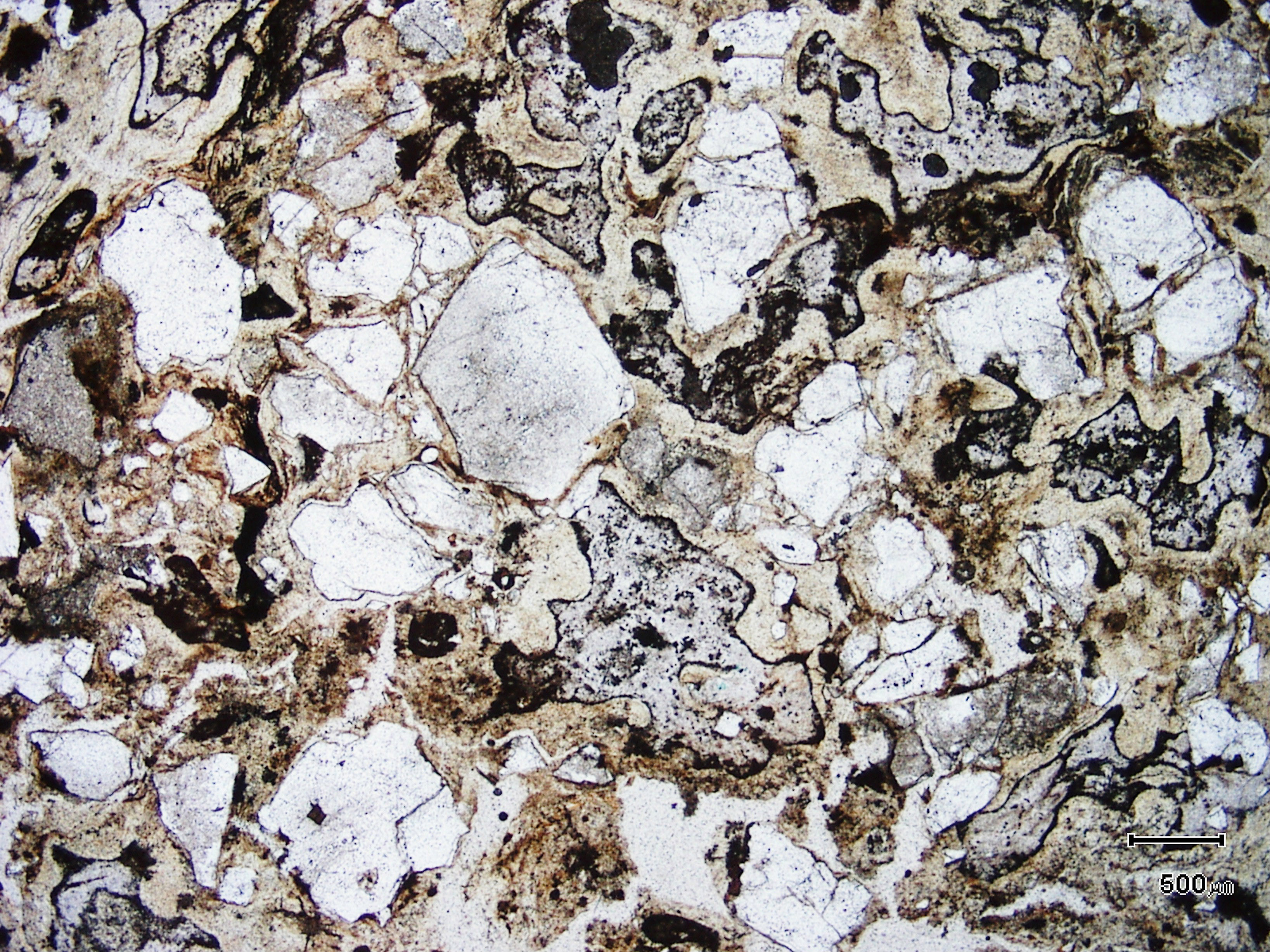 Petroleum | Samphire granite