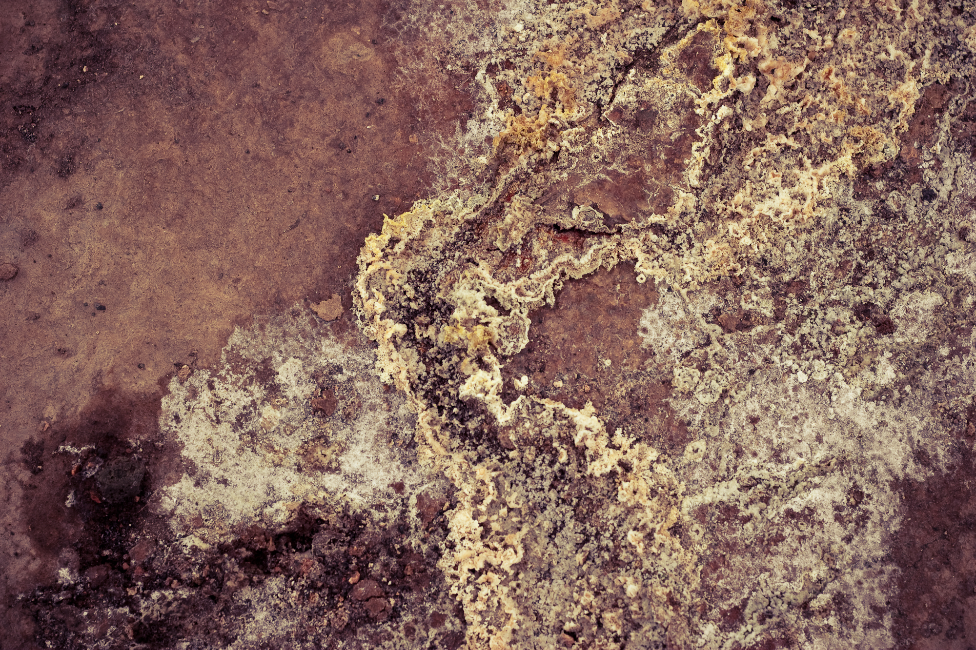 Geothermal mud texture photo