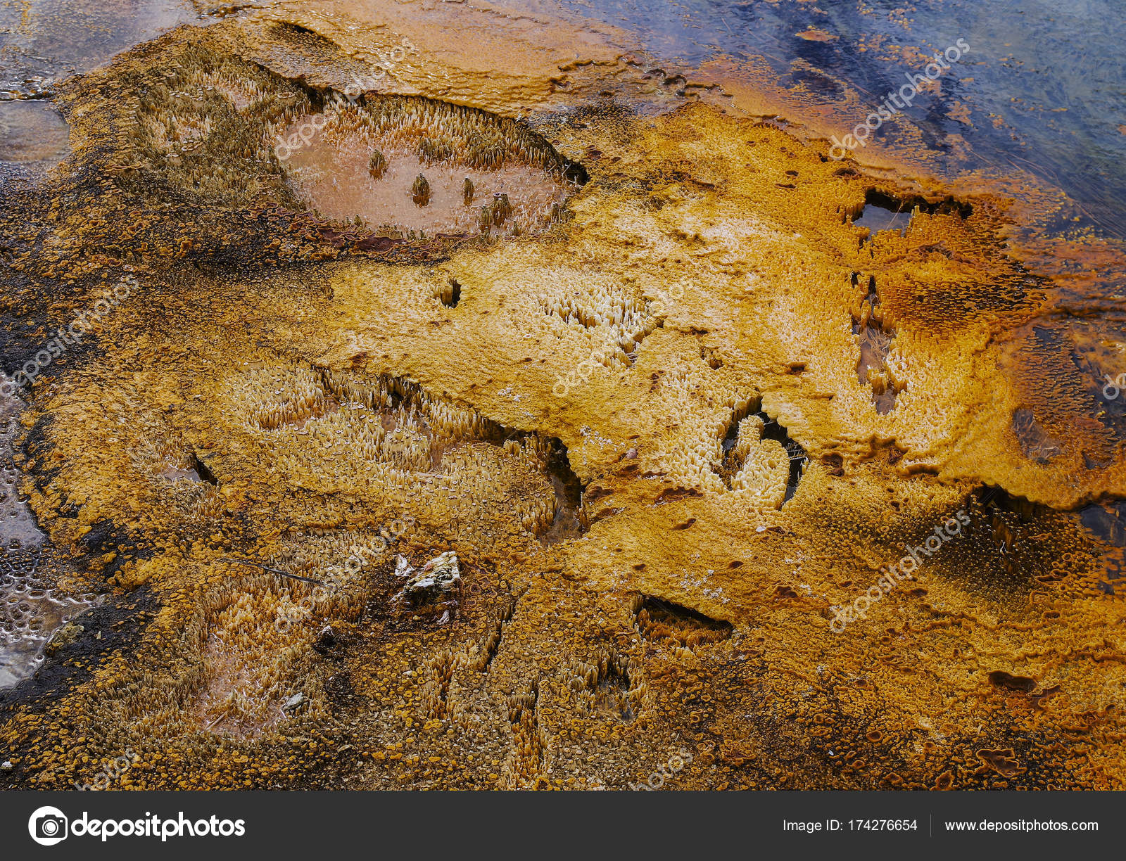 Yellowstone National Park USA and geothermal springs — Stock Photo ...