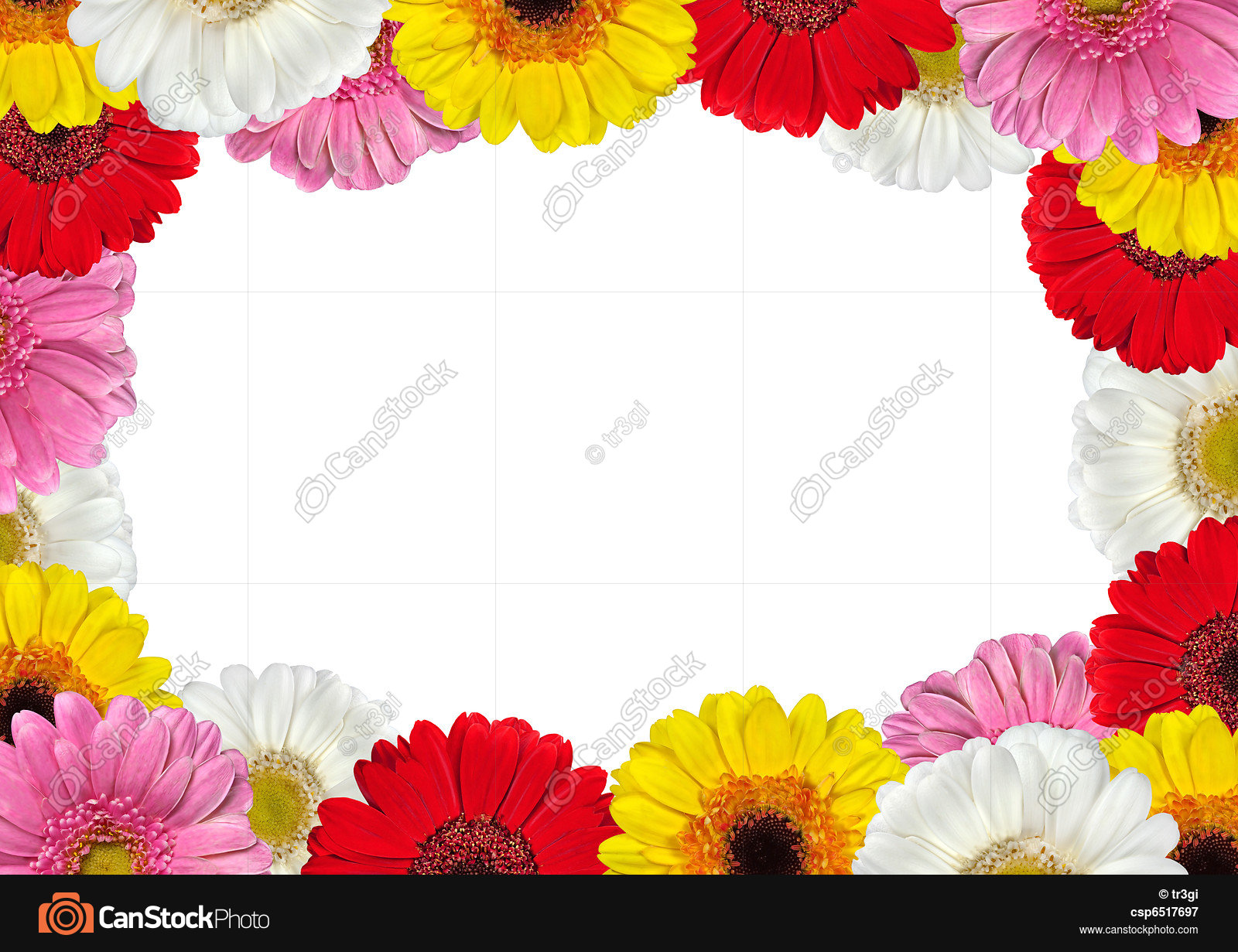 Frame full of colorful gerbera flowers. Fresh colorful... picture ...