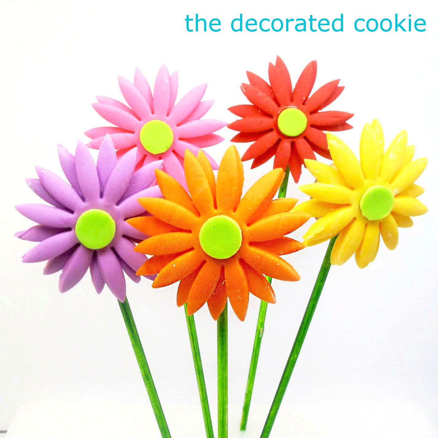 fondant gerbera daisy cookie pops - the decorated cookie