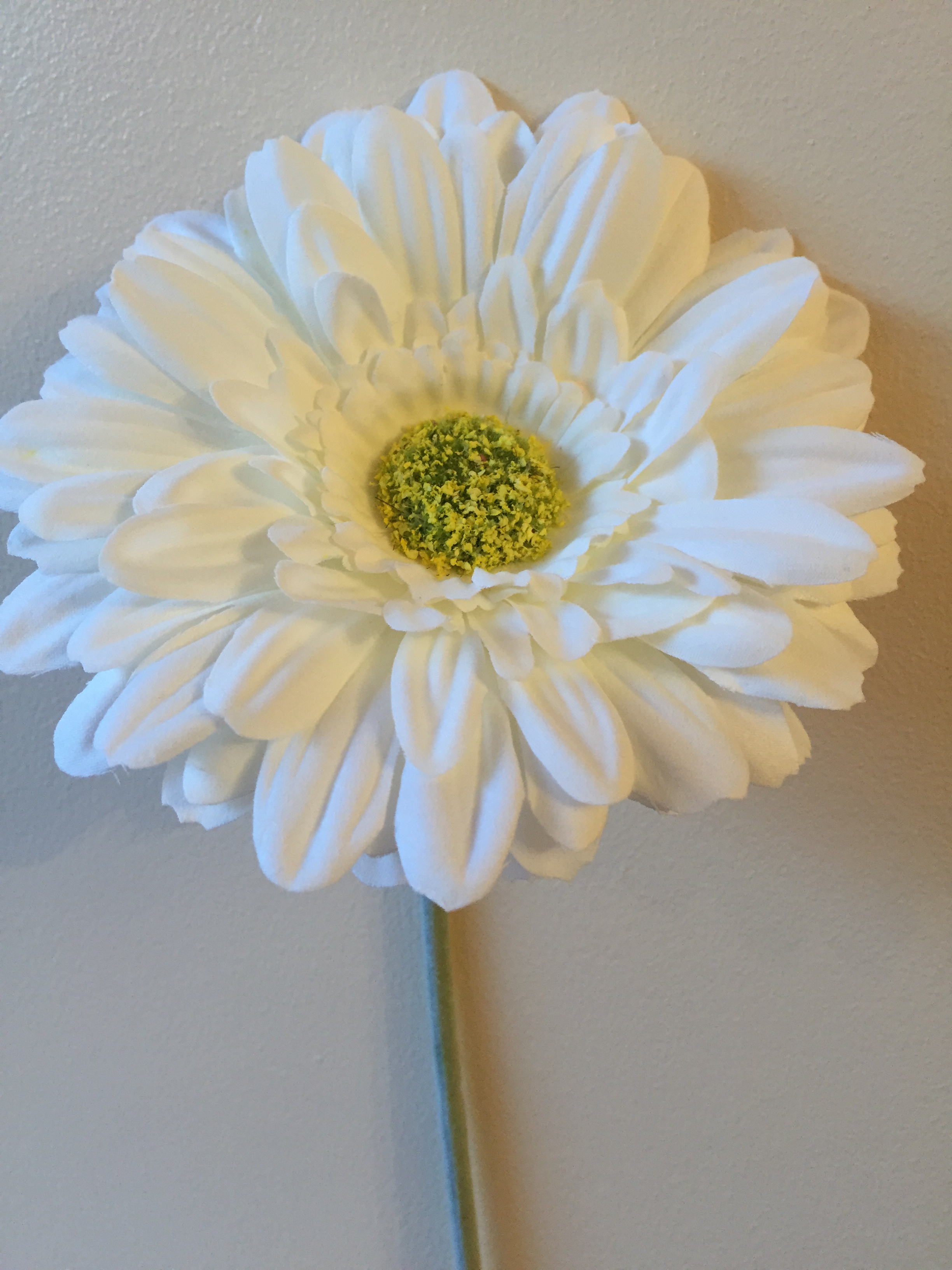 Short stemmed 13cm Gerbera flower Ideal for VW Beetle vase – White ...
