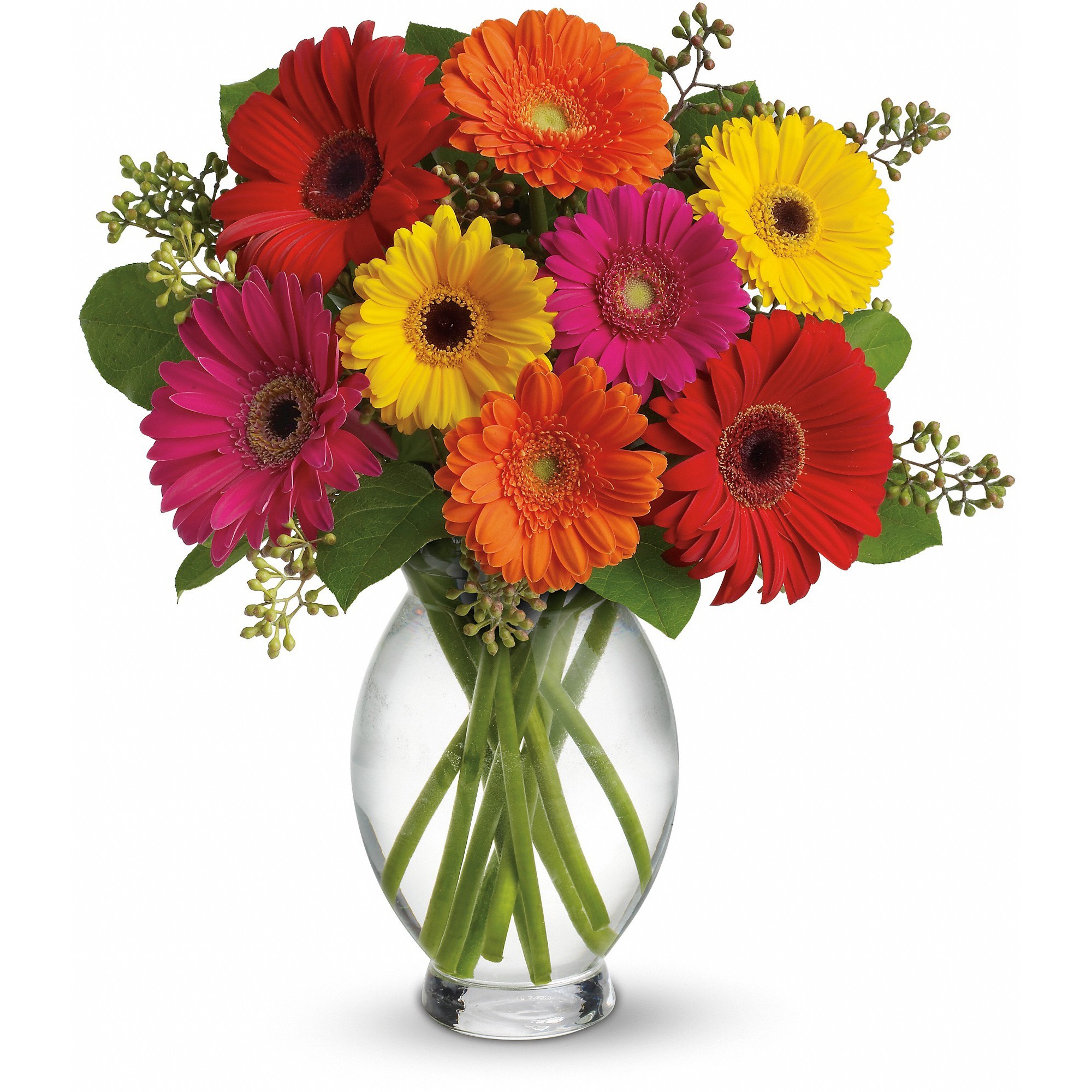 Assorted Gerbera Bouquet in Wells, ME | Flowers By Christine