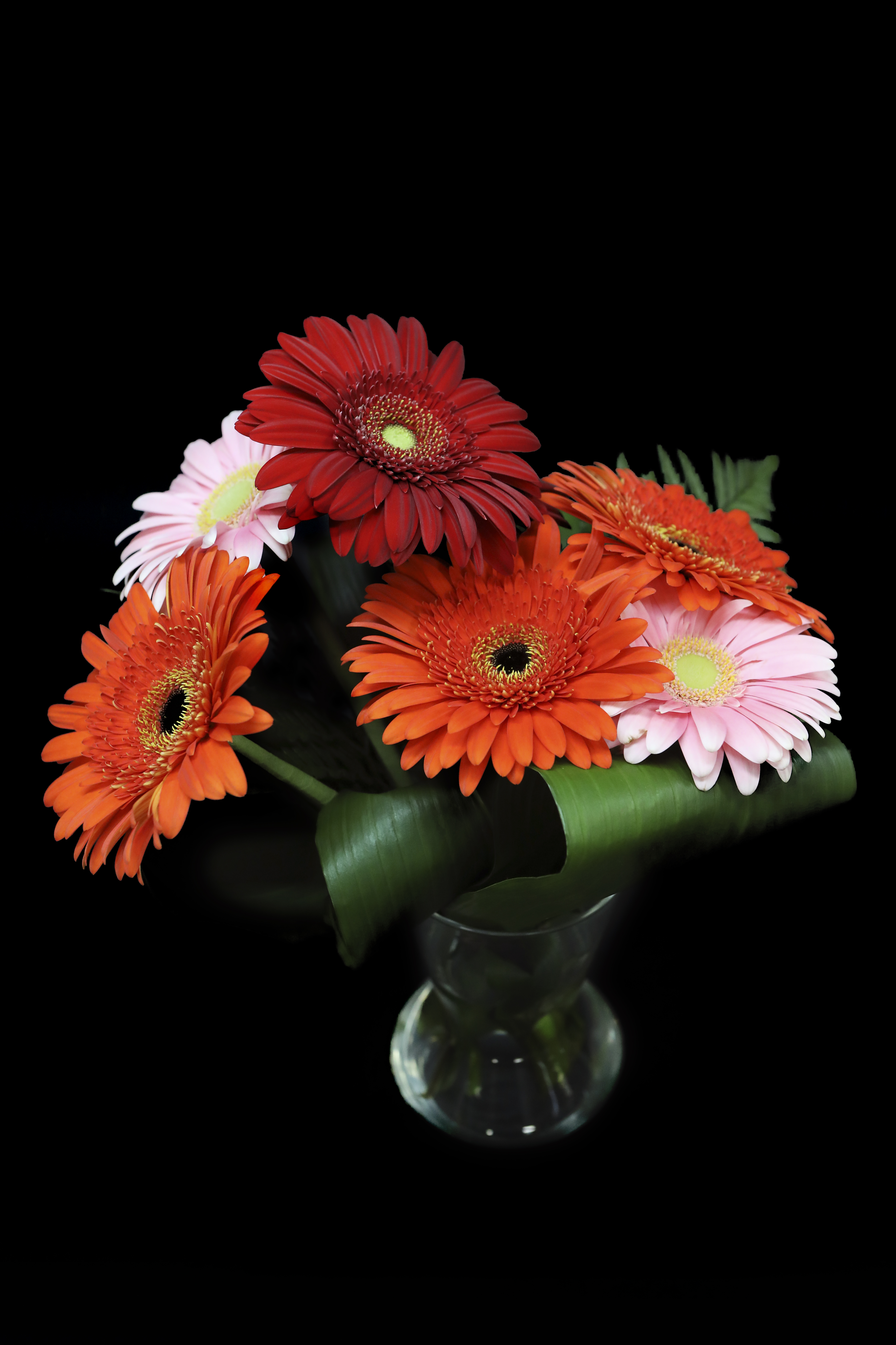 Gerberas bouquet - Boutique aux fleurs
