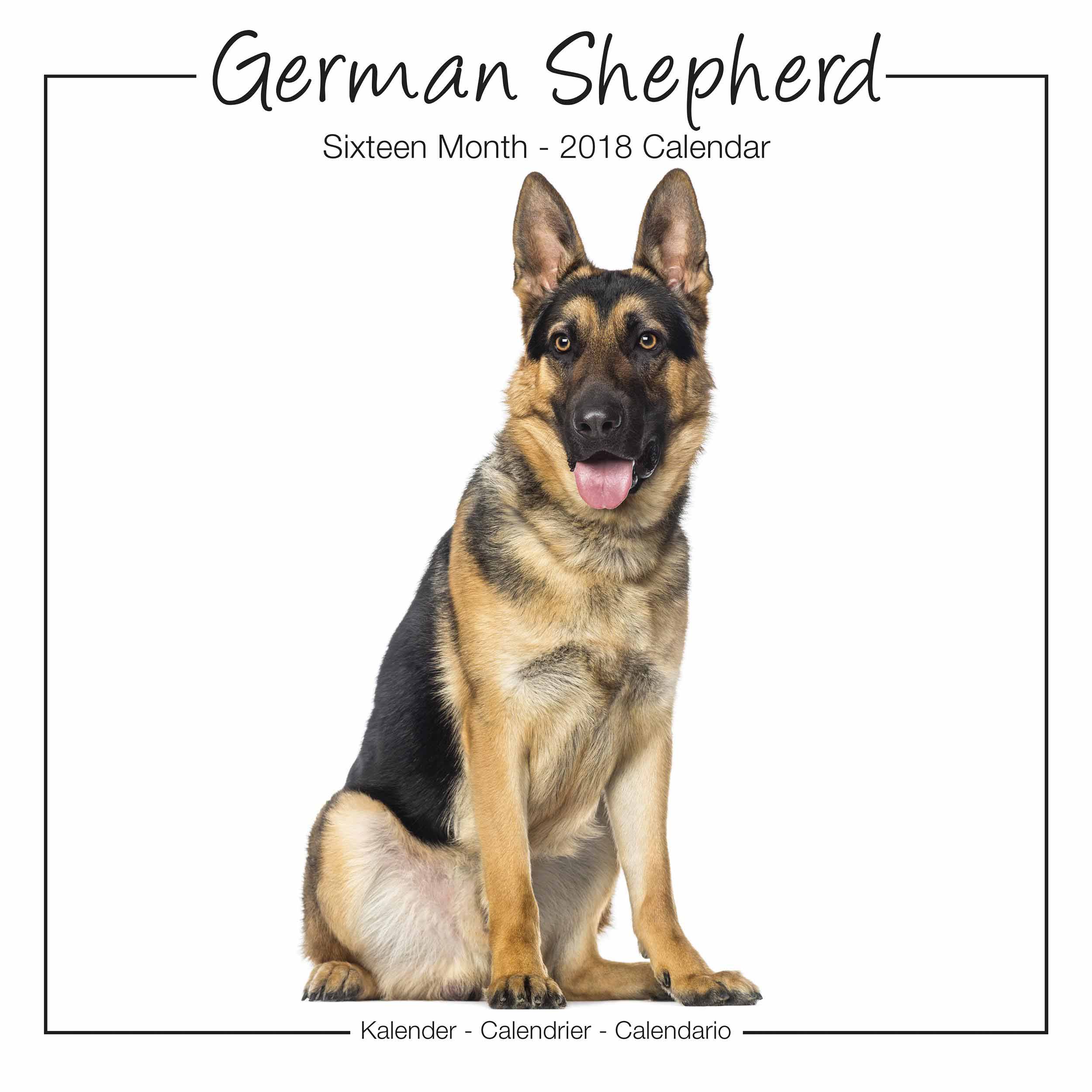 German Shepherd Studio Calendar 2018 - Calendar Club UK