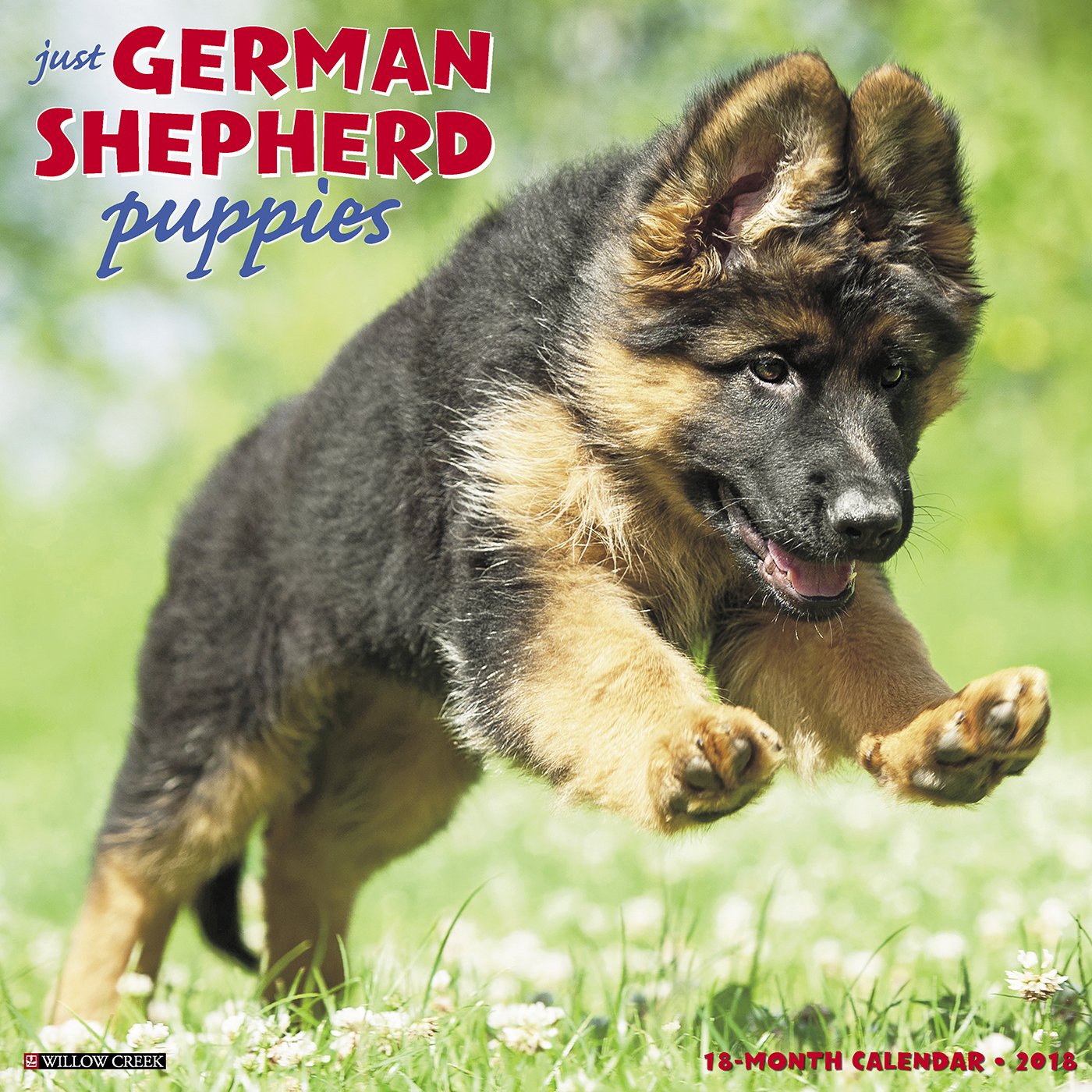 Just German Shepherd Puppies 2018 Calendar: Willow Creek Press ...