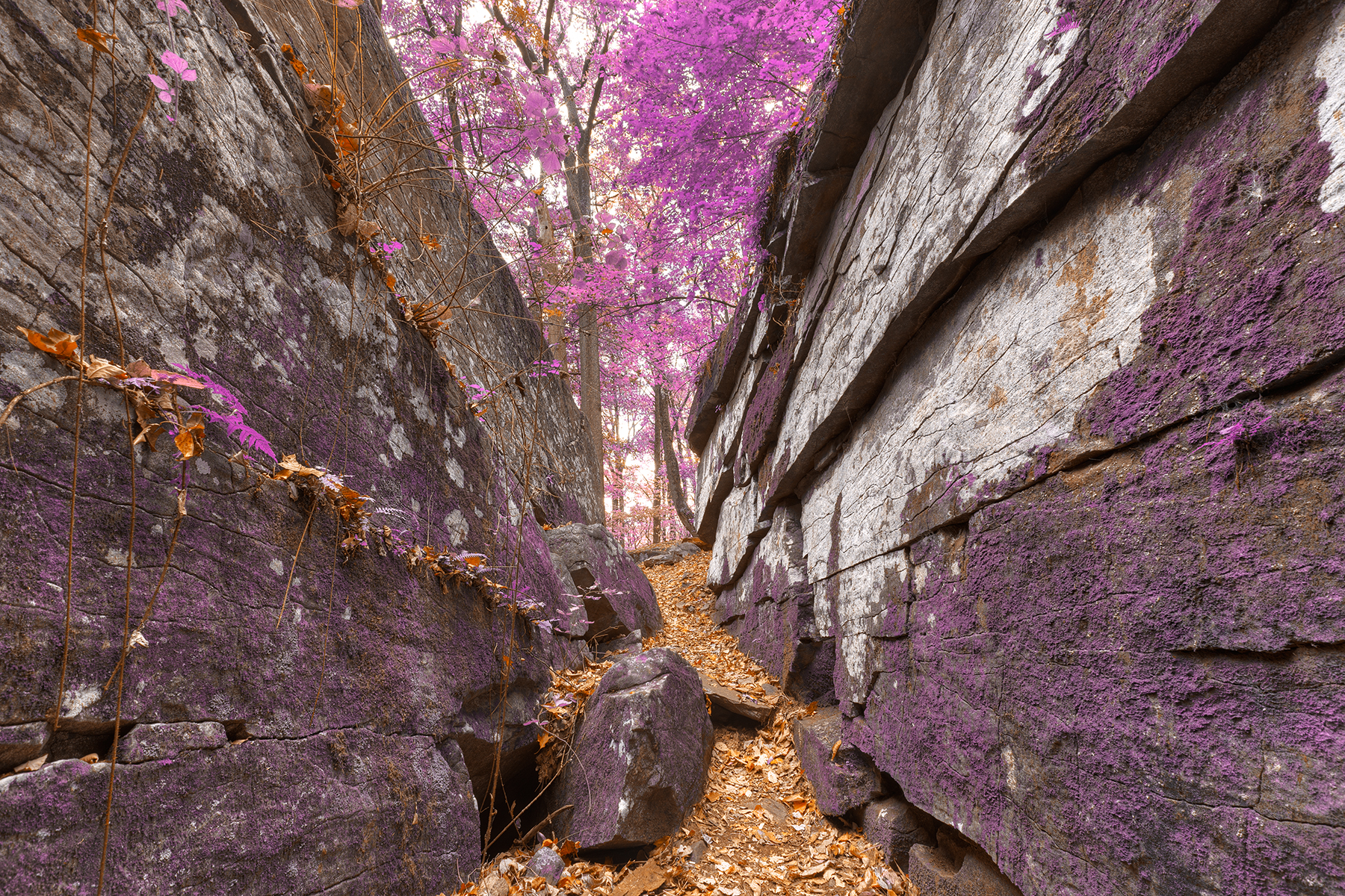 Gettysburg grotto - lavender fantasy hdr photo