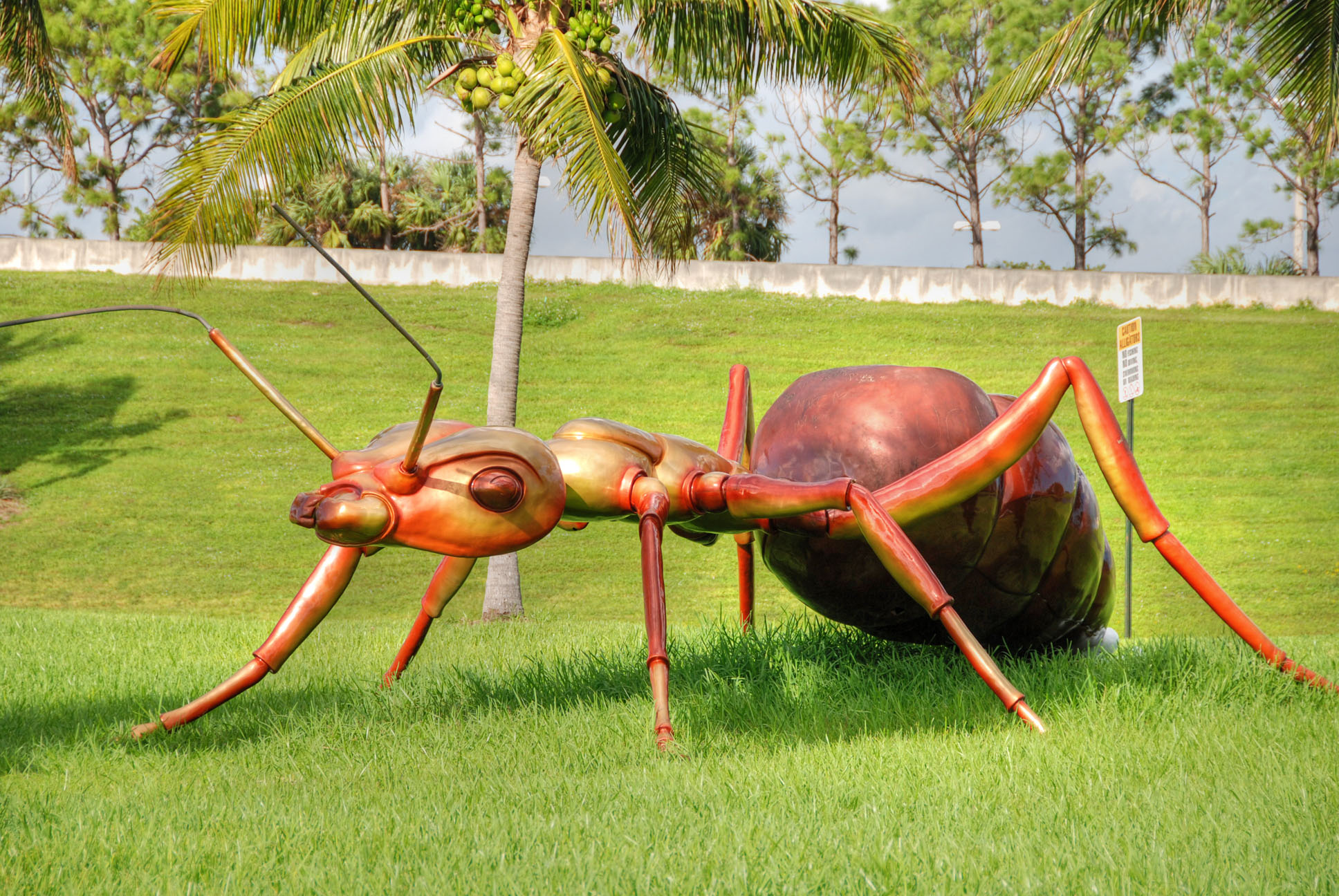 Giant ant, west palm beach, florida, jan photo