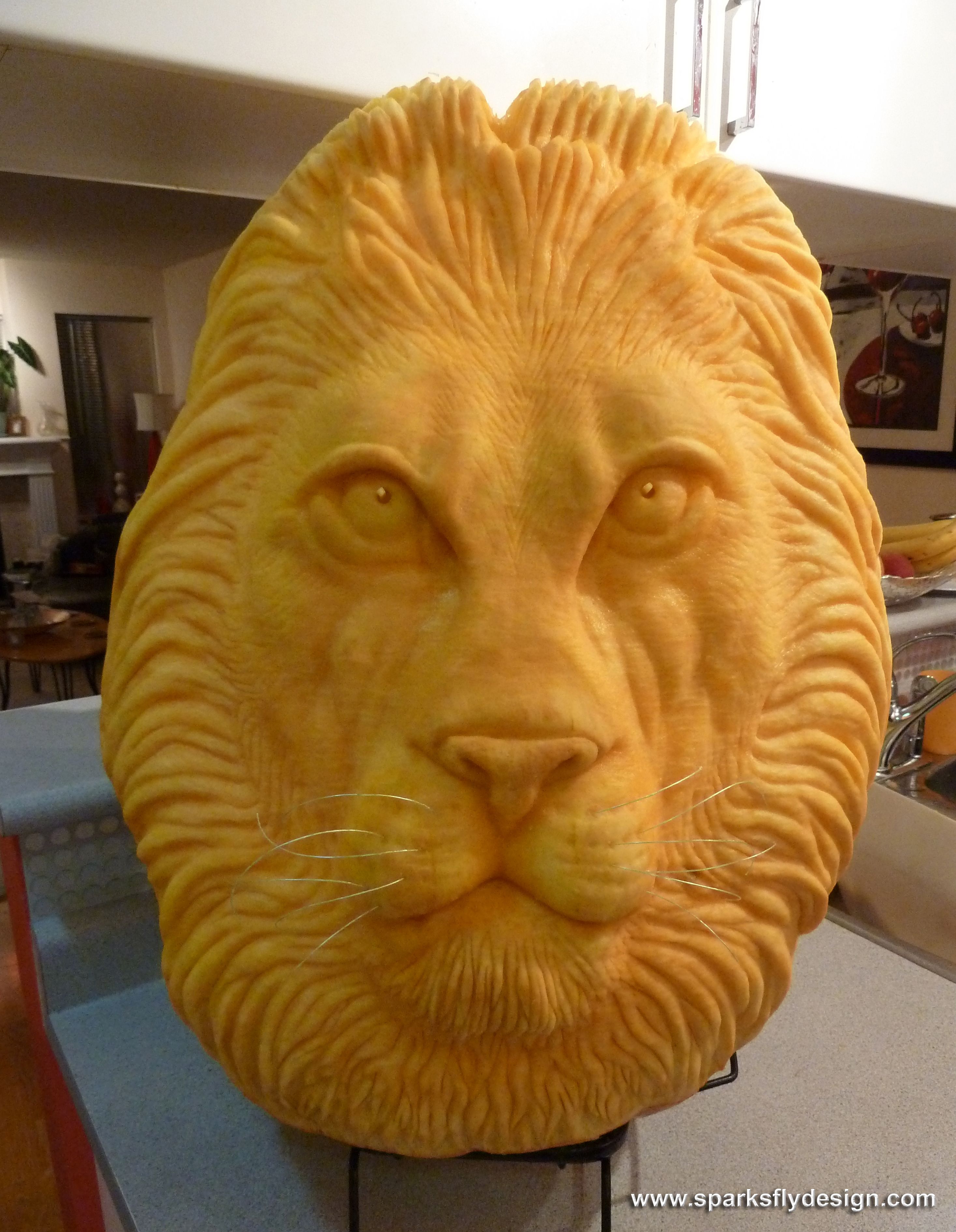 African Lion Pumpkin Carving by Clive Cooper Carved from 80lb ...