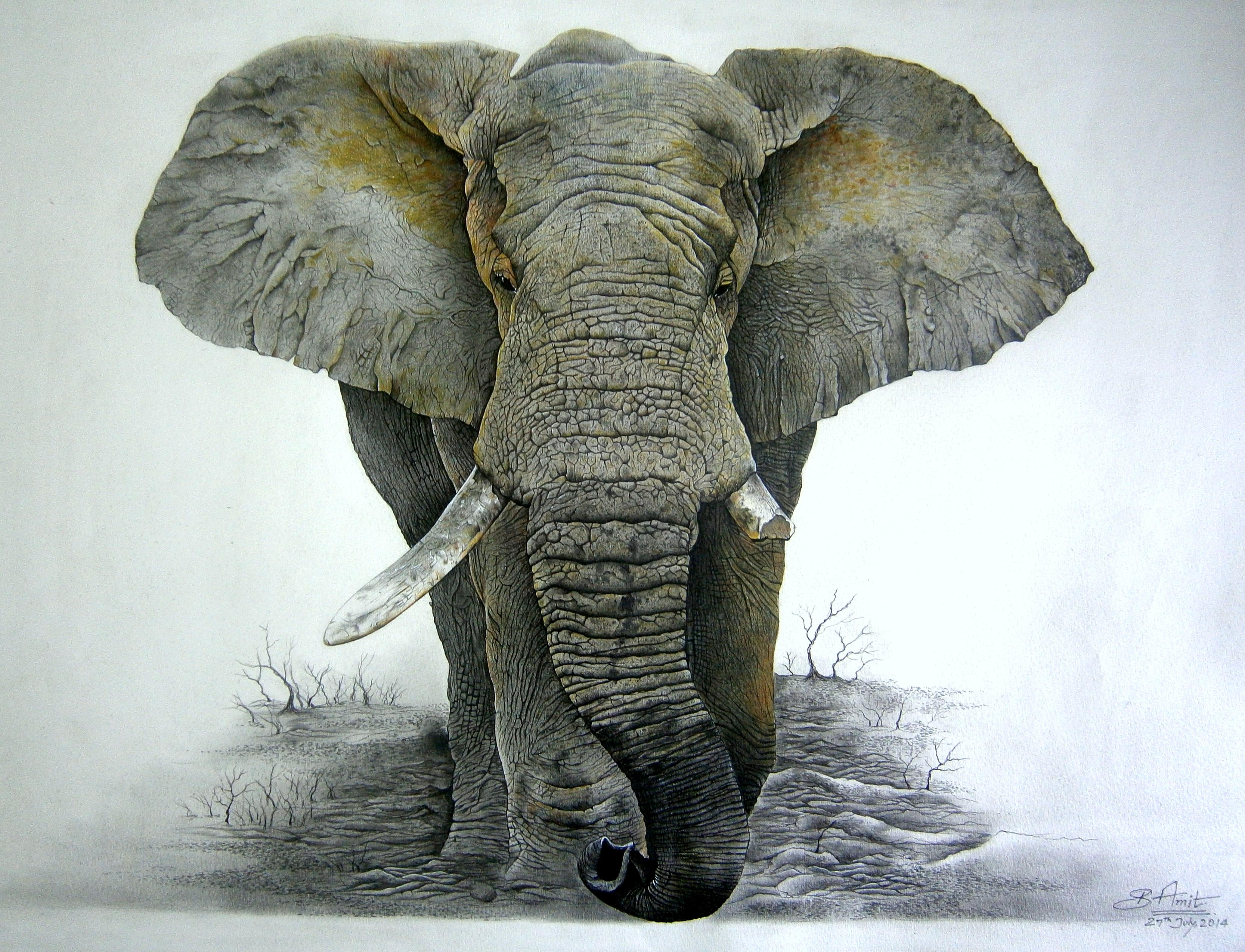 Gentle Giant, Pencils on canson paper, 33 x 47 inches. : Art