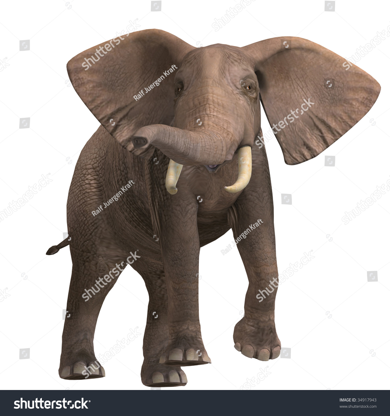 Giant Elephant 3d Render Clipping Path Stock Illustration 34917943 ...