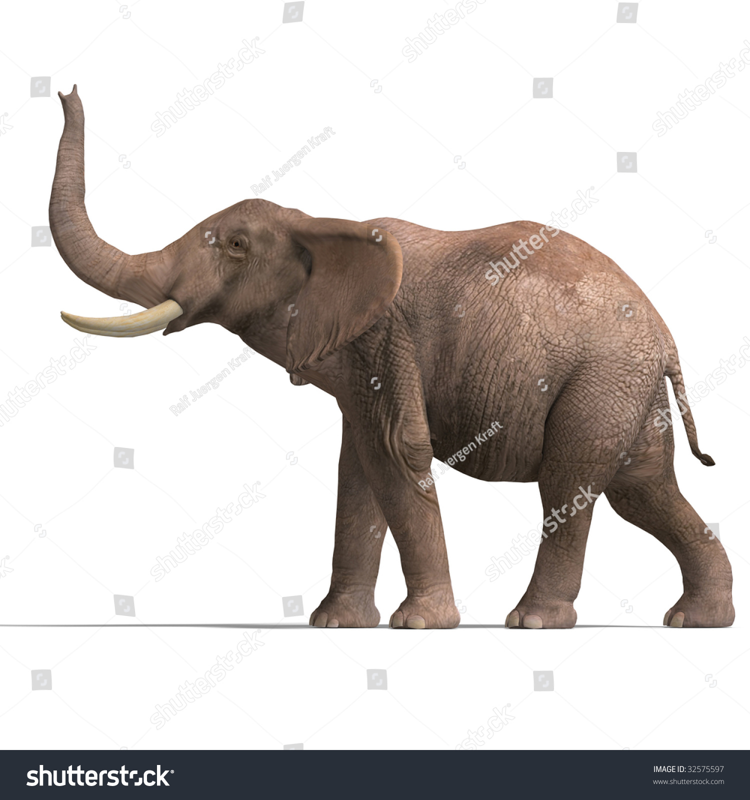 Giant Elephant 3d Render Clipping Path Stock Illustration 32575597 ...
