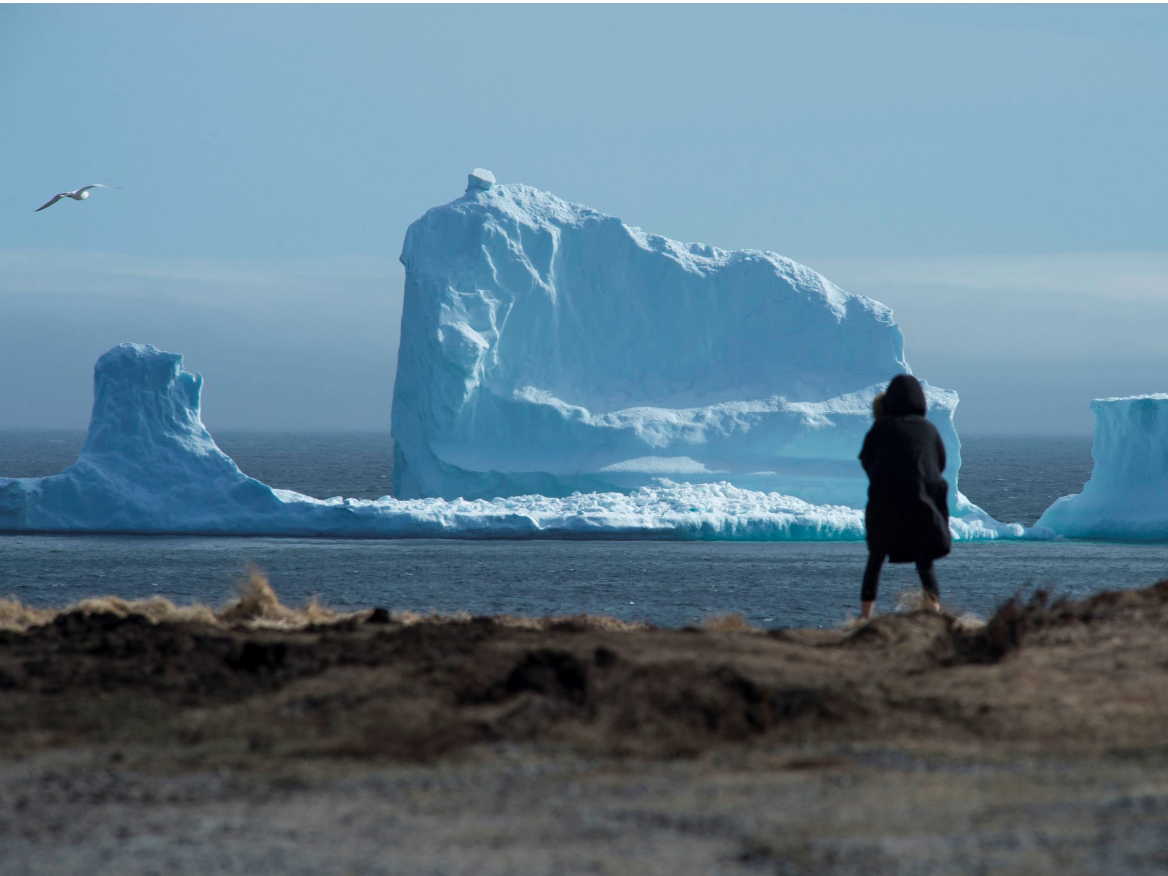 Giant iceberg spotted off the coast of Newfoundland, Canada ...
