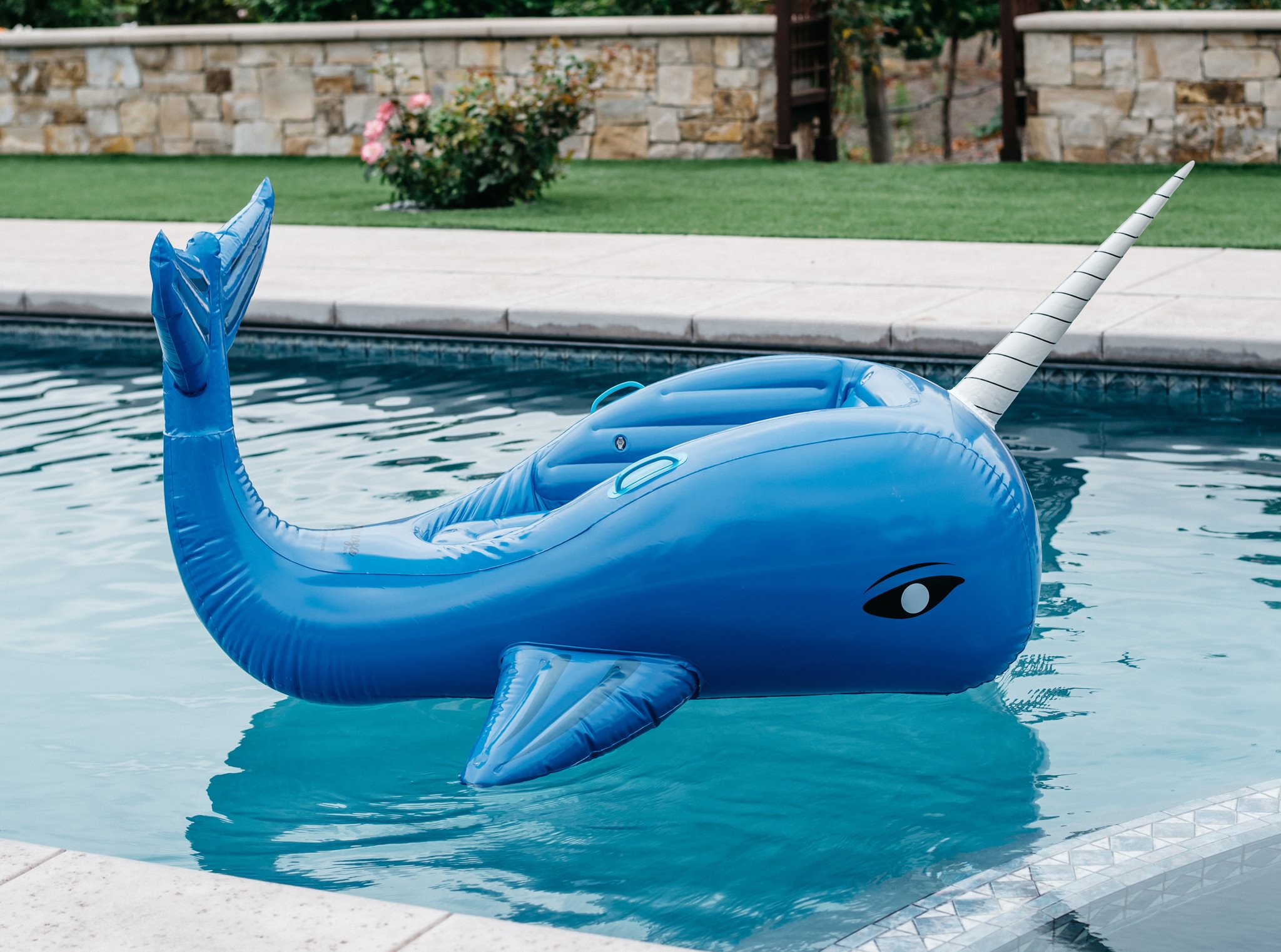 Narwhal Whale Pool Float - Mimosa Inc