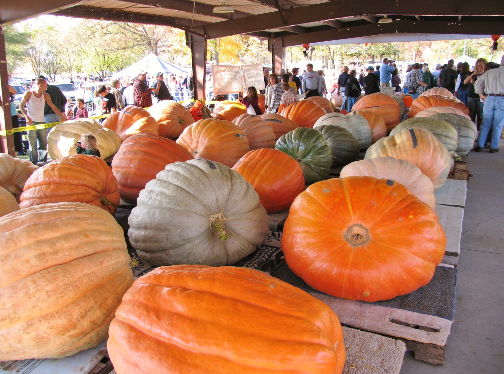 Nekoosa Giant Pumpkin Fest - Discover Wisconsin