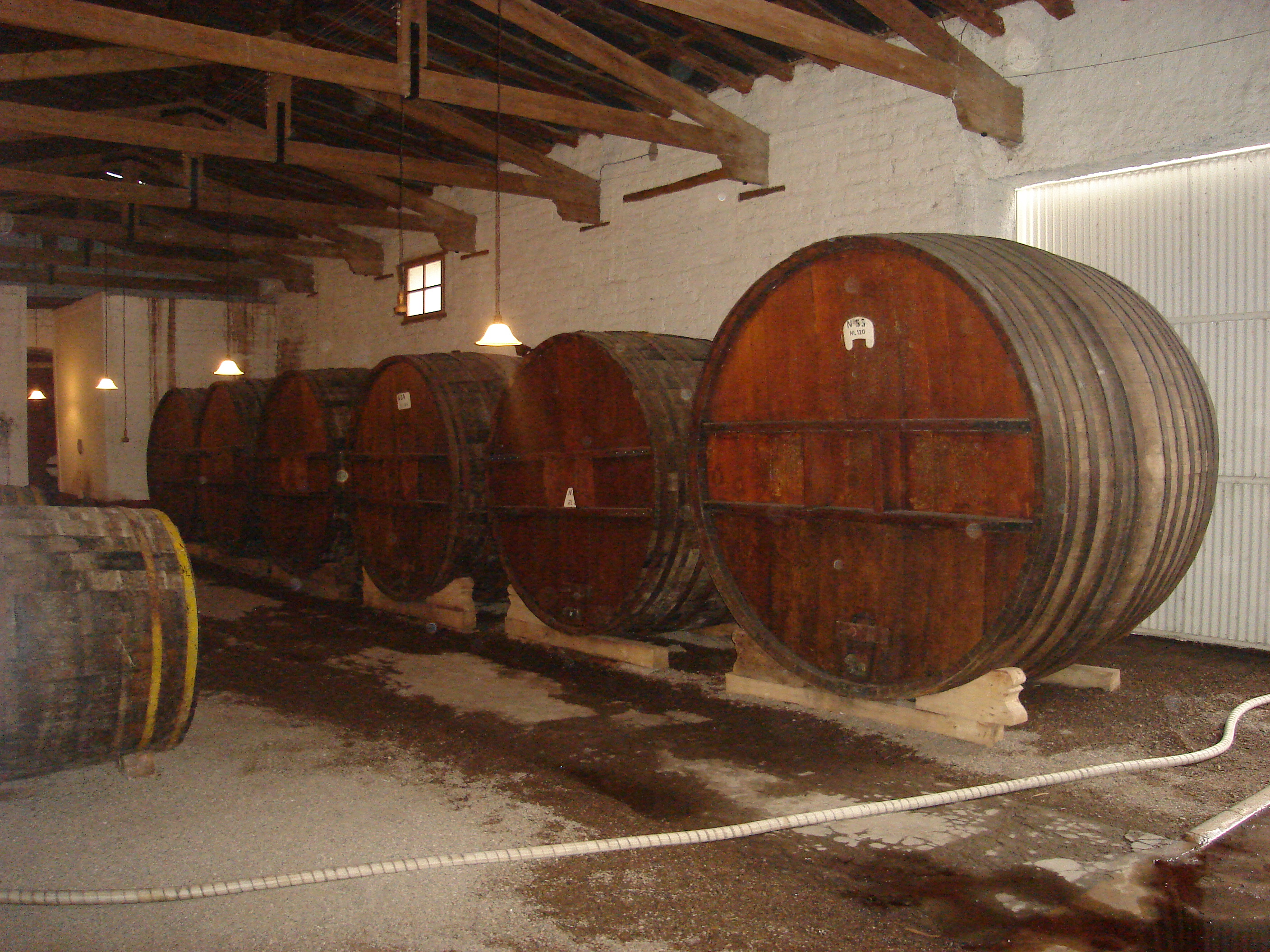 Giant wine barrels photo