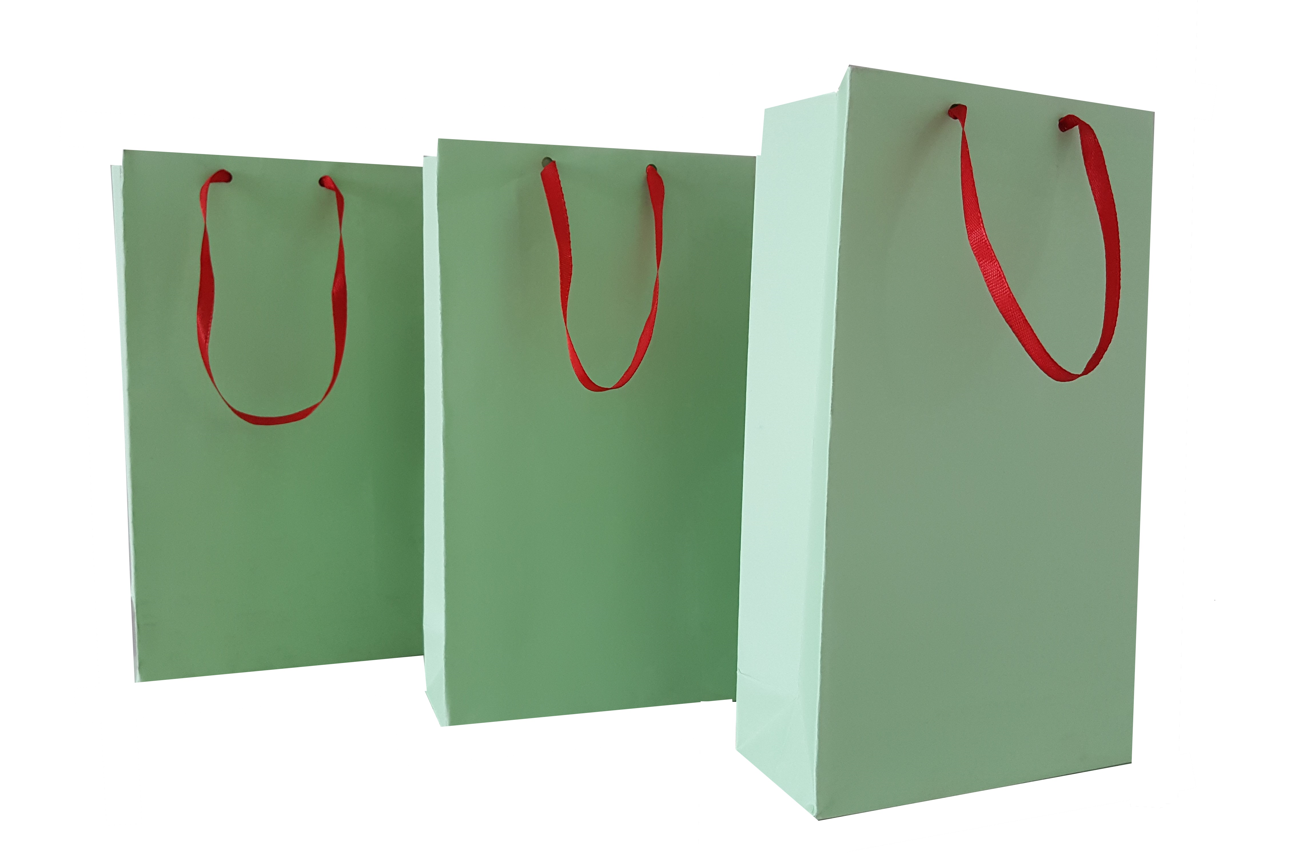 Light Green Paper Bags with Red Handles - Return Gift Bags | Artikera
