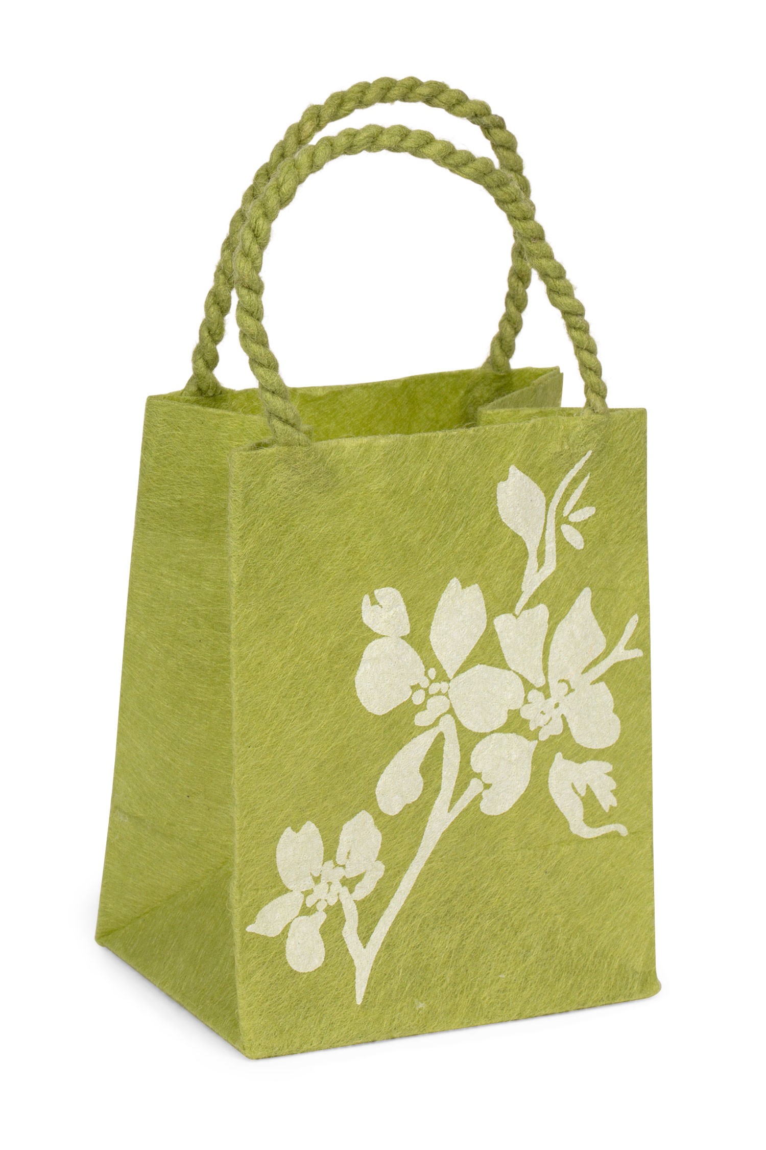 Silk Paper Gift Bag (Green)