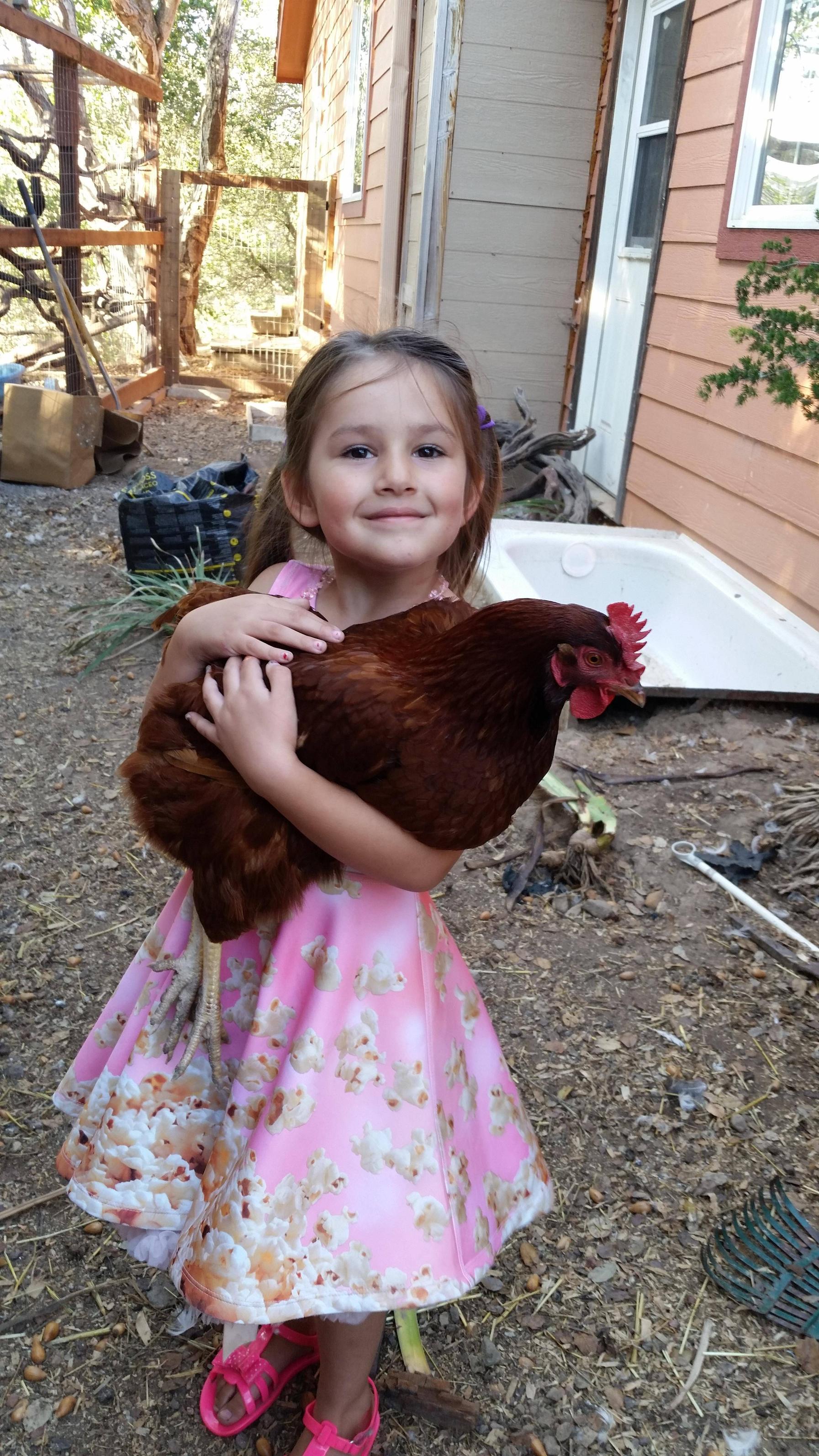 Just a girl and her chicken - Imgur