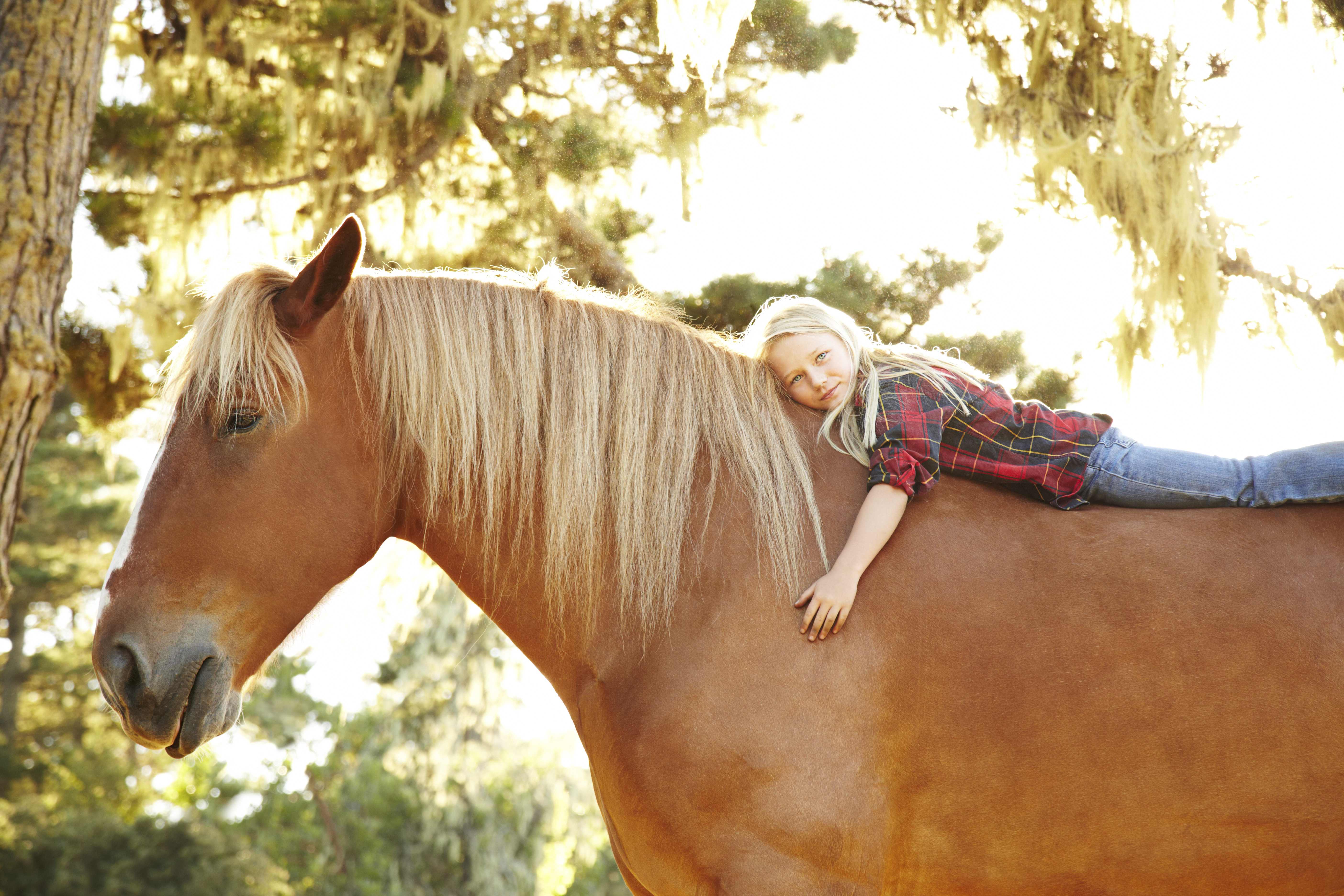 Лошадки надо. Человек конь. Человек на лошади. Девушка обнимает лошадь. Ребенок обнимает лошадь.