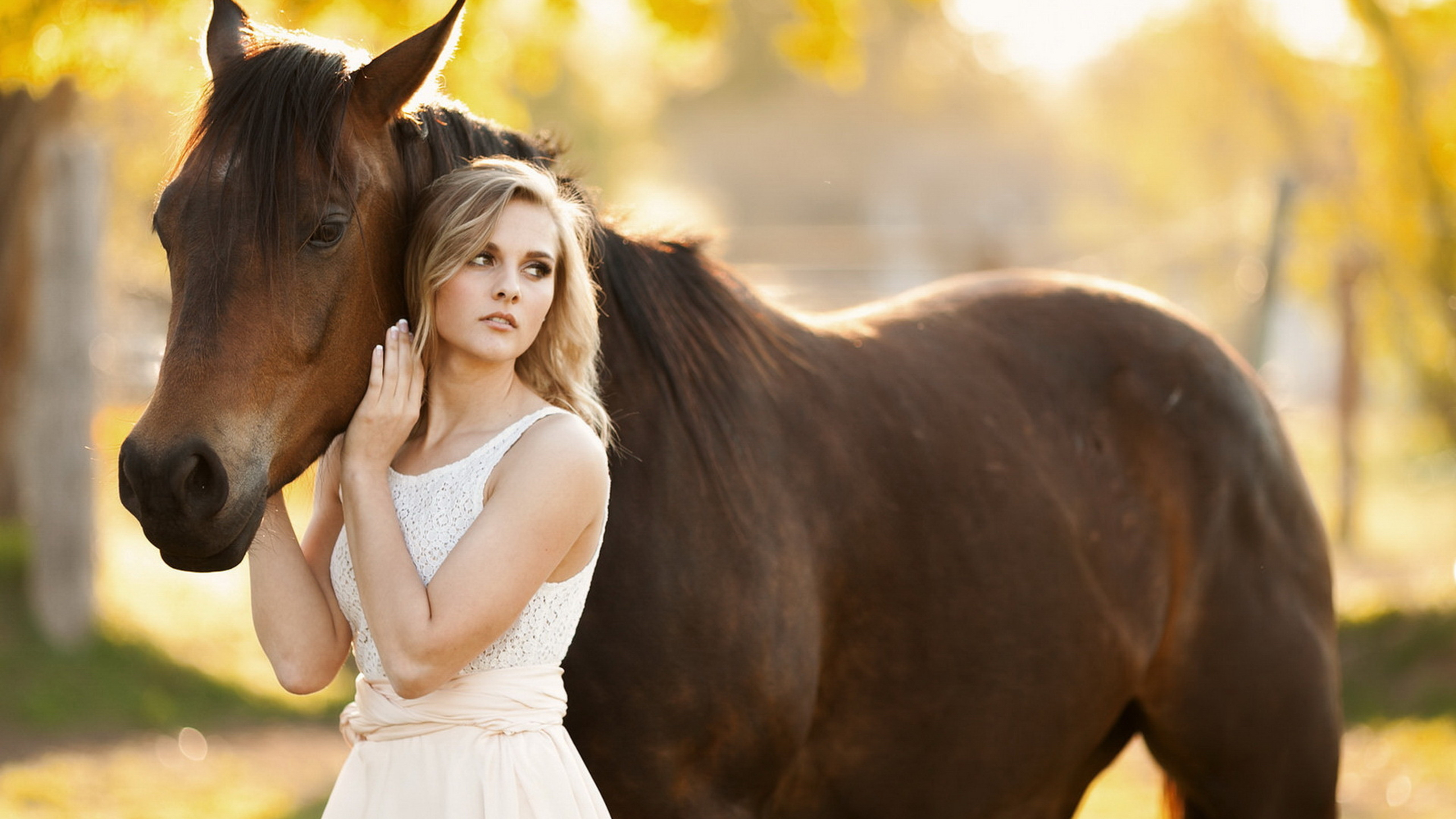 Pretty blonde girl and a brown horse Wallpaper Download 5120x2880