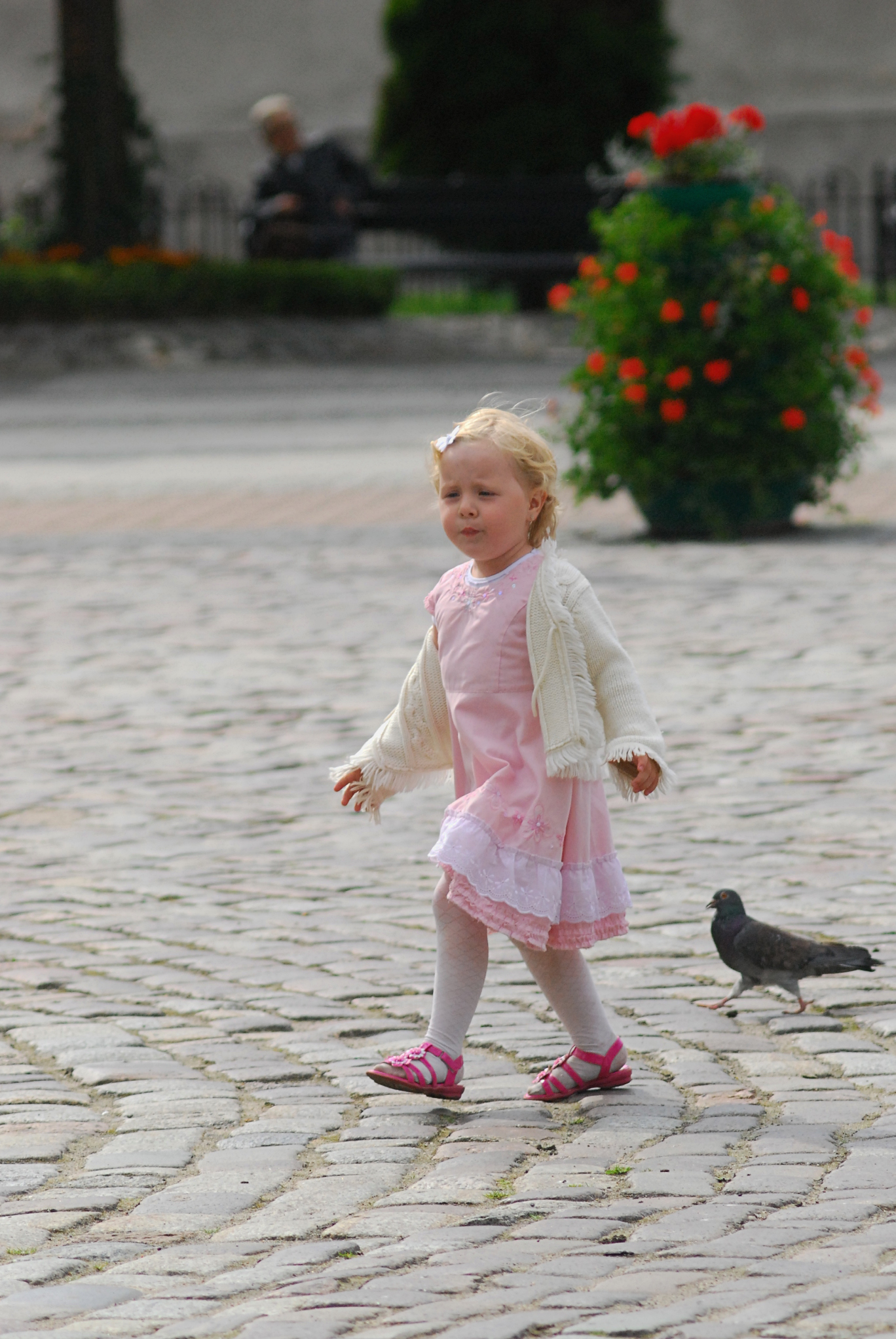 Girl and Pigeon Pictures - Freaking News