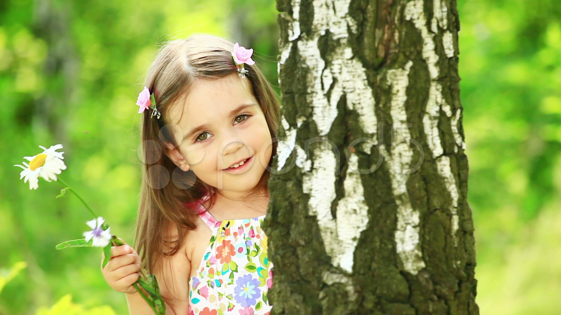 Little girl hiding behind a tree ~ Video Clip #7763172